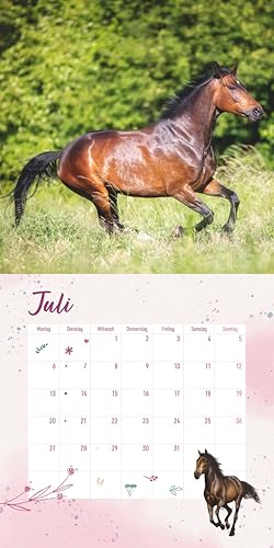 Alpha Edition - Pferdefreunde Kalender 2026 – Broschürenkalender 30×30 cm mit Pferde- & Ponyfotos von Christiane Slawik, Kinderkalender mit Stundenplänen, Ferientabelle & Extra-Spiel - Image 5