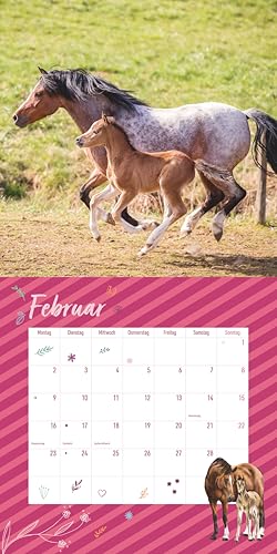 Alpha Edition - Pferdefreunde Kalender 2026 – Broschürenkalender 30×30 cm mit Pferde- & Ponyfotos von Christiane Slawik, Kinderkalender mit Stundenplänen, Ferientabelle & Extra-Spiel - Image 7