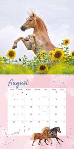 Alpha Edition - Pferdefreunde Kalender 2026 – Broschürenkalender 30×30 cm mit Pferde- & Ponyfotos von Christiane Slawik, Kinderkalender mit Stundenplänen, Ferientabelle & Extra-Spiel - Image 9