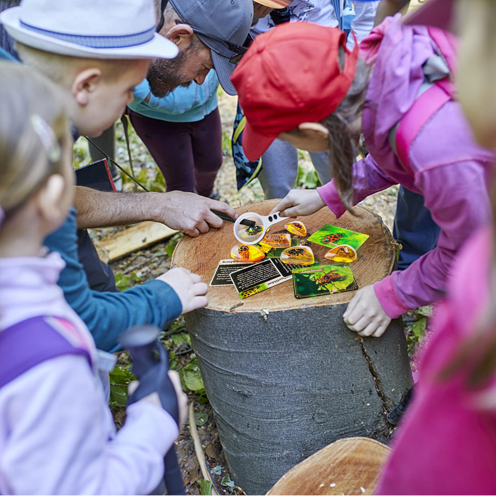 AMOSTING Bernstein Ausgrabungsset für Kinder ab 6 7 8 9 10-12 Jahren, Künstliche Insektenfossilien, Edelsteine ausgraben für den Kindergeburtstag - Image 2