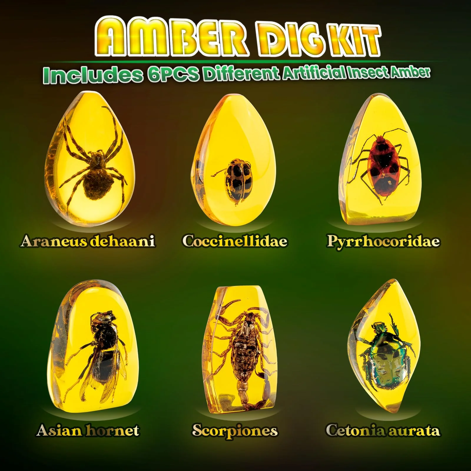 AMOSTING Bernstein Ausgrabungsset für Kinder ab 6 7 8 9 10-12 Jahren, Künstliche Insektenfossilien, Edelsteine ausgraben für den Kindergeburtstag - Image 4