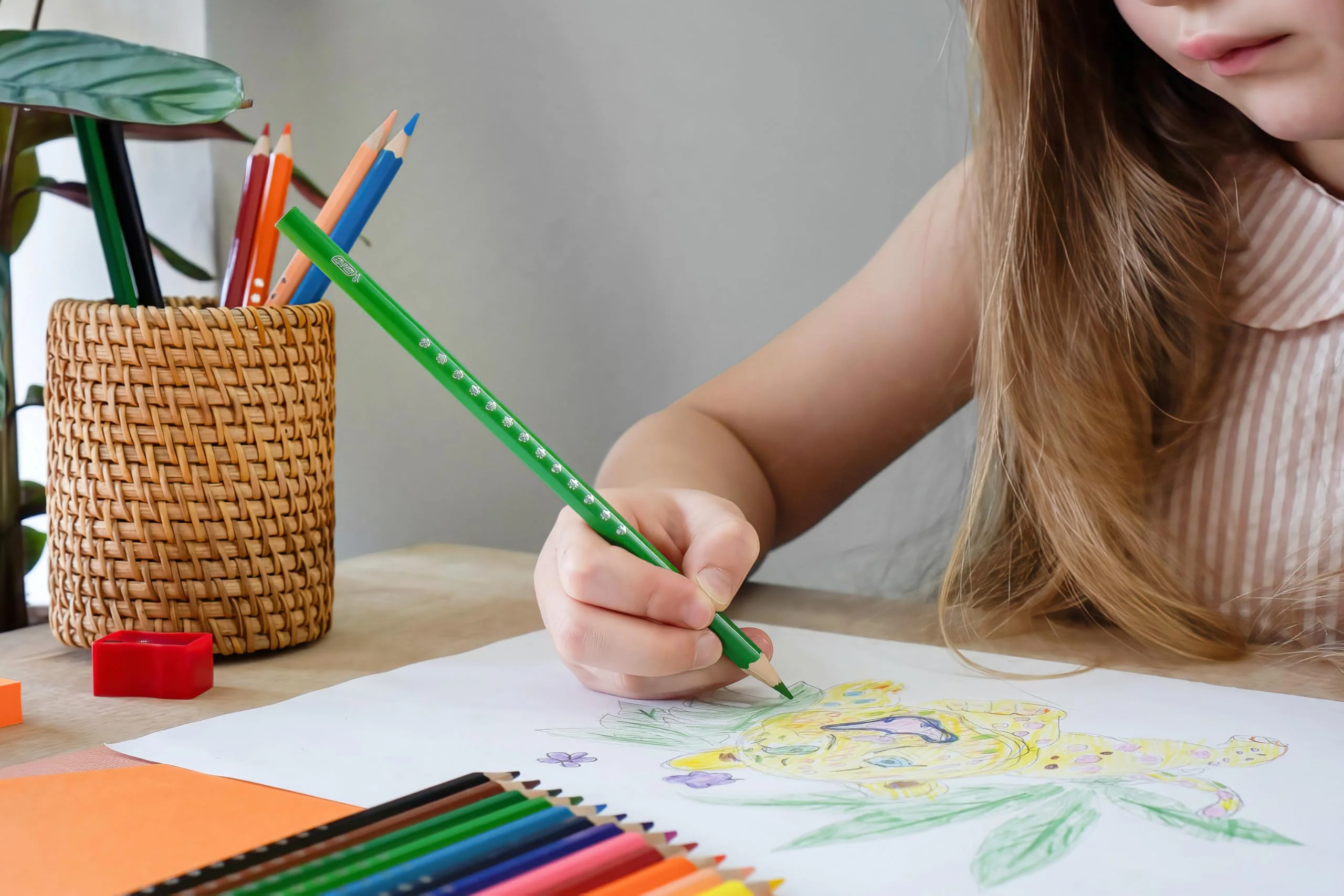 BIC Kids Buntstifte aus 100% verantwortungsvoll angebautem Holz, zum malen, in 36 Farben - Image 2