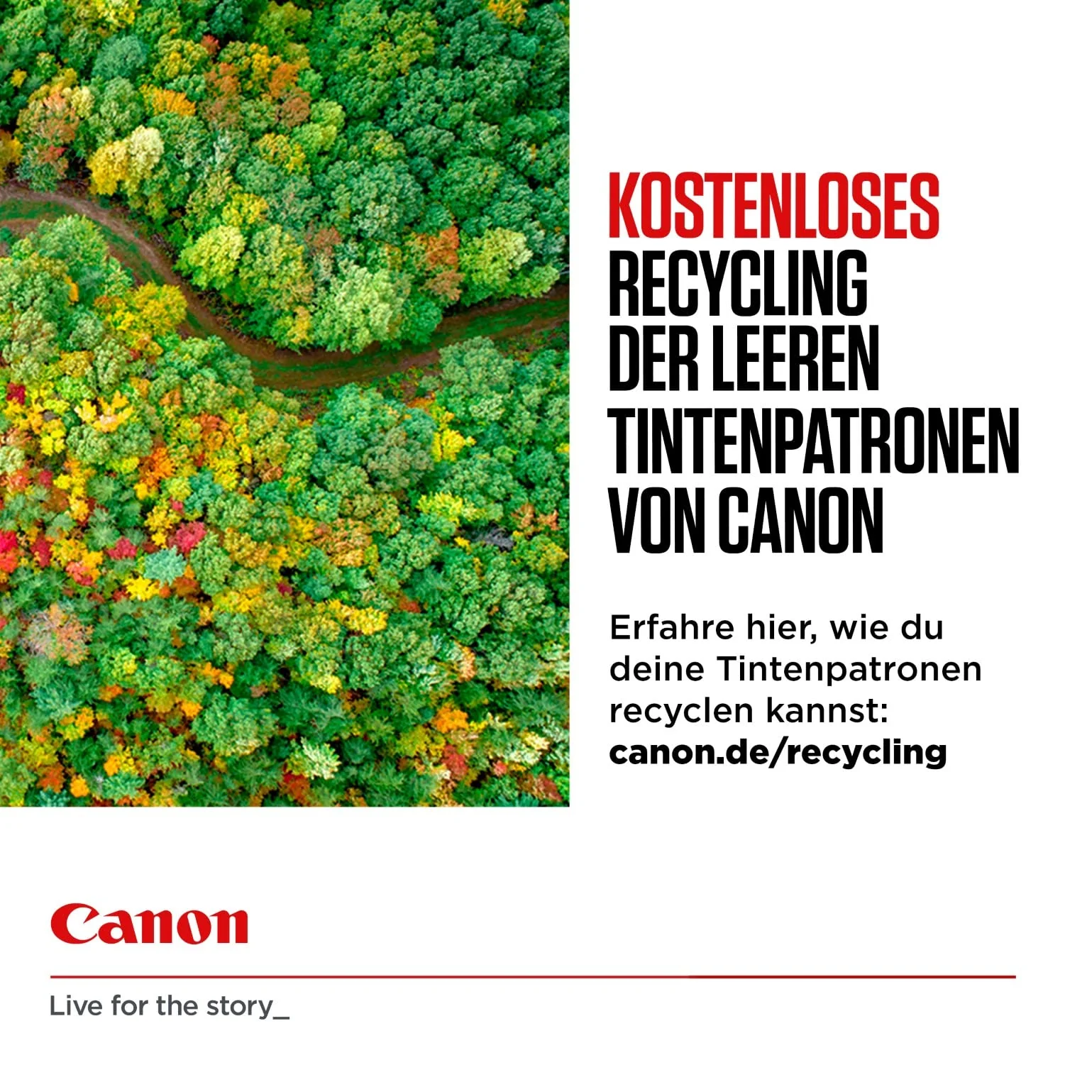 Canon GI-56 PGBK Tinte schwarz 6000 Seiten - Image 4