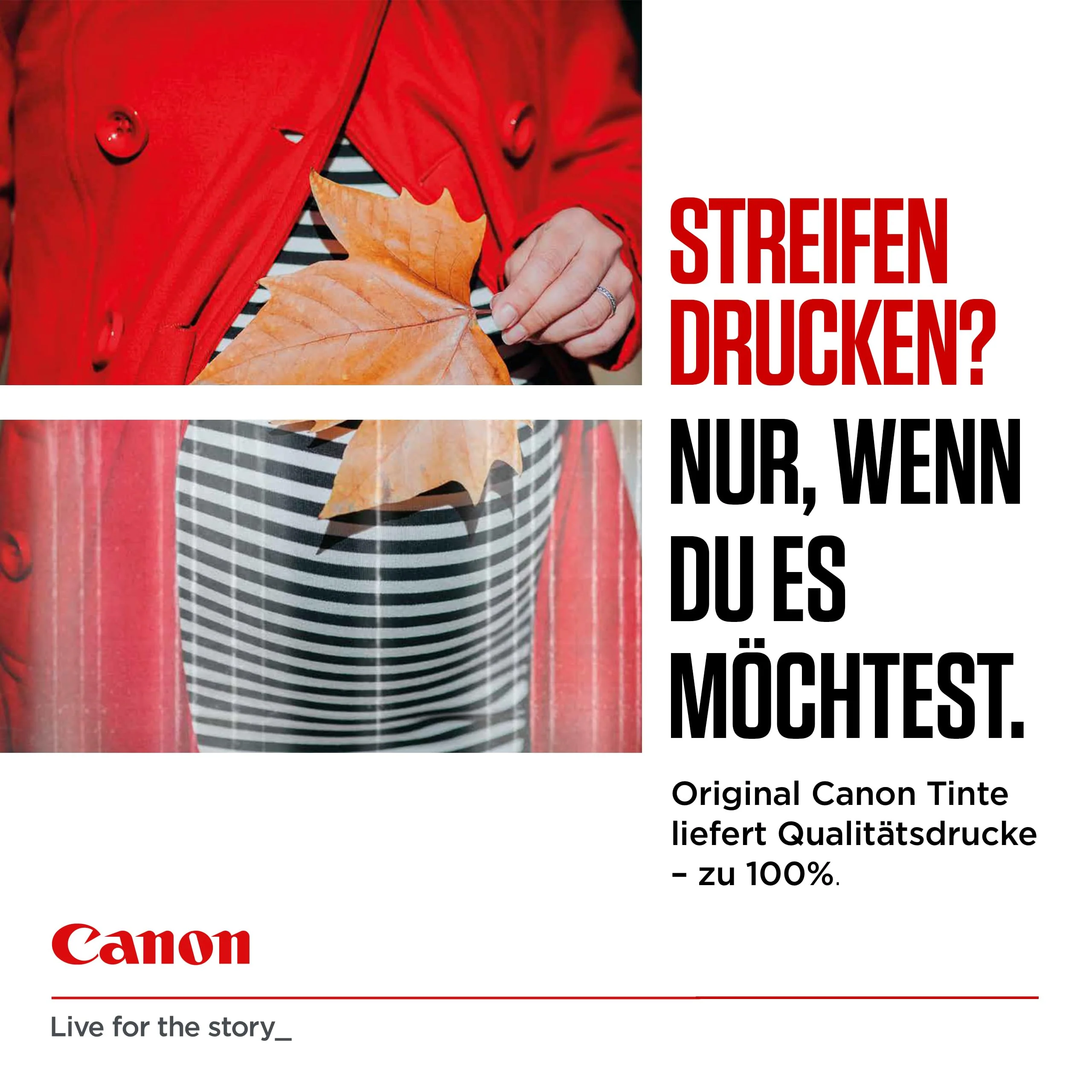 Canon PG540 L CL541 XL Vorteilspack 2 Tintenpatronen größere Reichweite L/LX (Schwarz L, Farbe XL) Original +50 Blatt 10x15cm Photo Paper [Umweltfreundliche Recycle-Kartonverpackung 2024] - Image 3