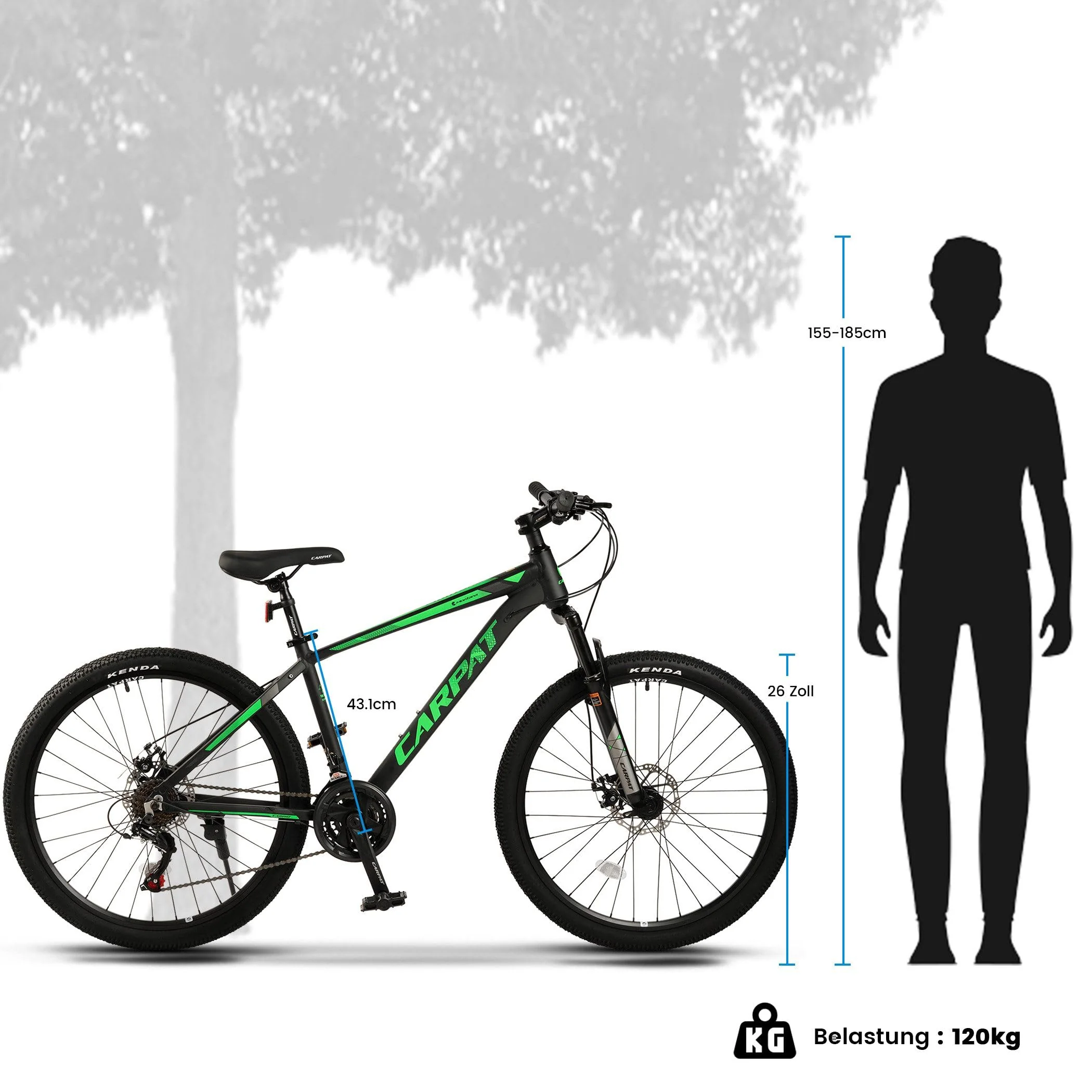 CARPAT SPORT 26 29 Zoll Mountainbike für Jungen, Mädchen, Damen und Herren, Scheibenbremse, 21 Gang-Schaltung, Aluminium Rahmen, Hardtail Fahrrad Jugendfahrrad MTB - Image 3
