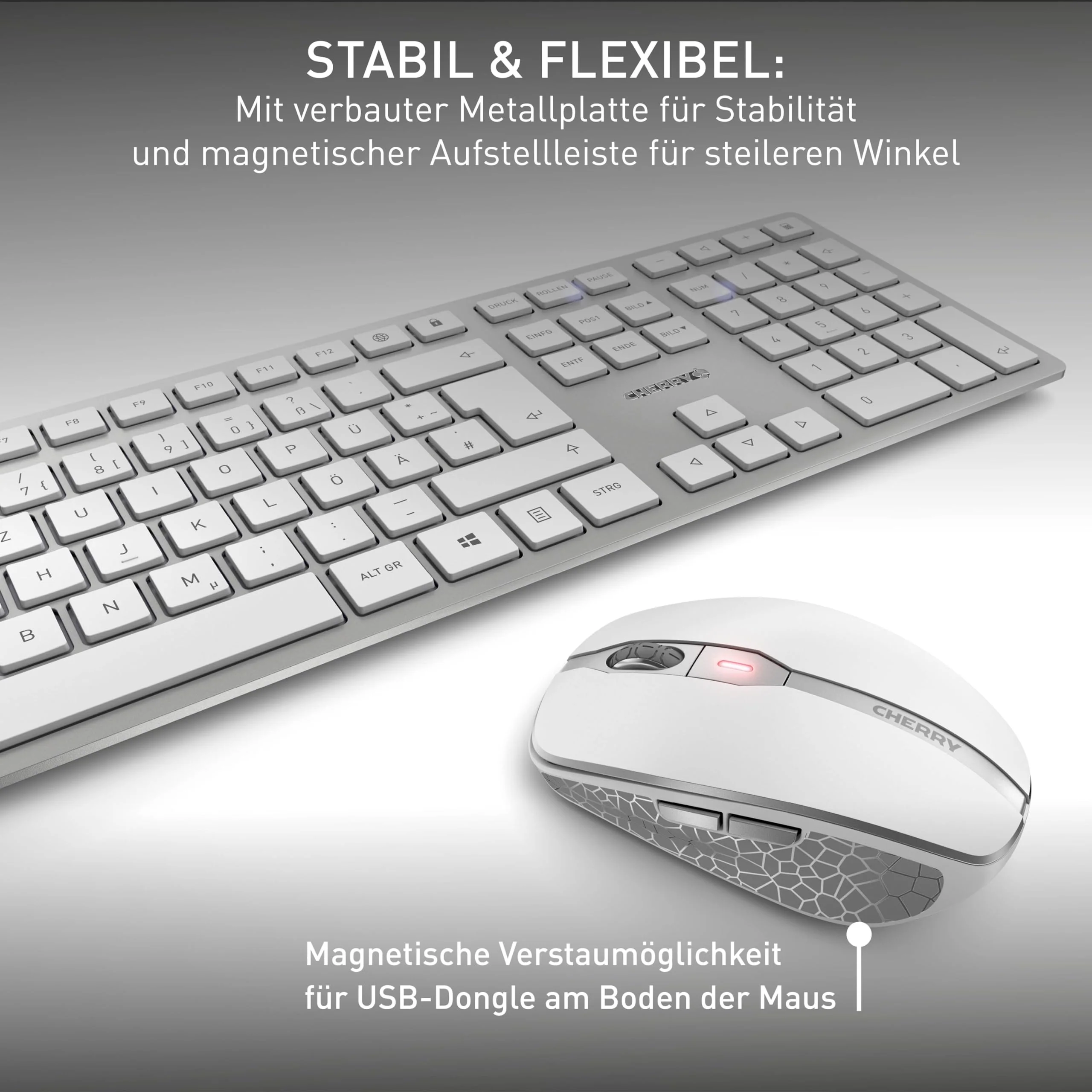 CHERRY DW 9100 SLIM, Kabelloses Tastatur- und Maus-Set, Pan-Nordisches Layout (QWERTY), Bluetooth & 2,4 GHz Funk, Leise Tasten, Wiederaufladbar, Weiß-Silber - Image 4