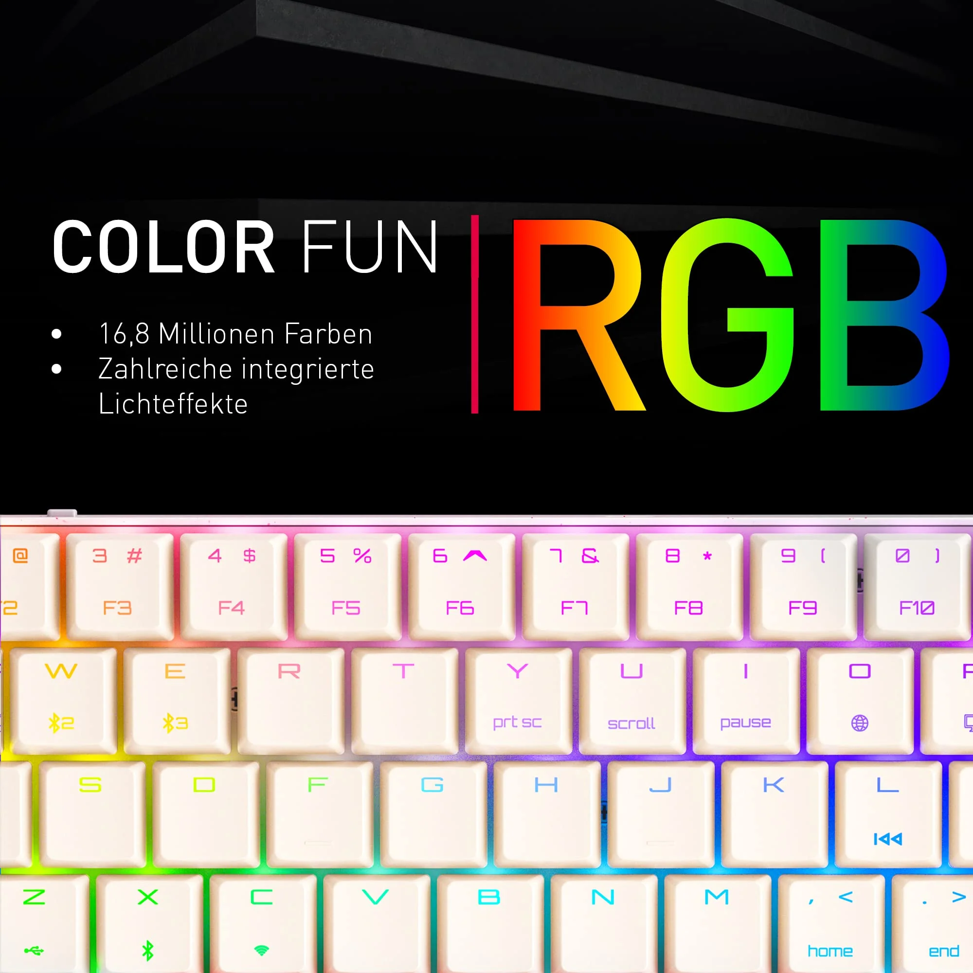 CHERRY MX-LP 2.1 Compact Wireless, Kabellose Gaming-Tastatur mit 69 Tasten, Deutsches Layout (QWERTZ), Mechanische MX LOW PROFILE SPEED Switches, Schwarz - Image 5