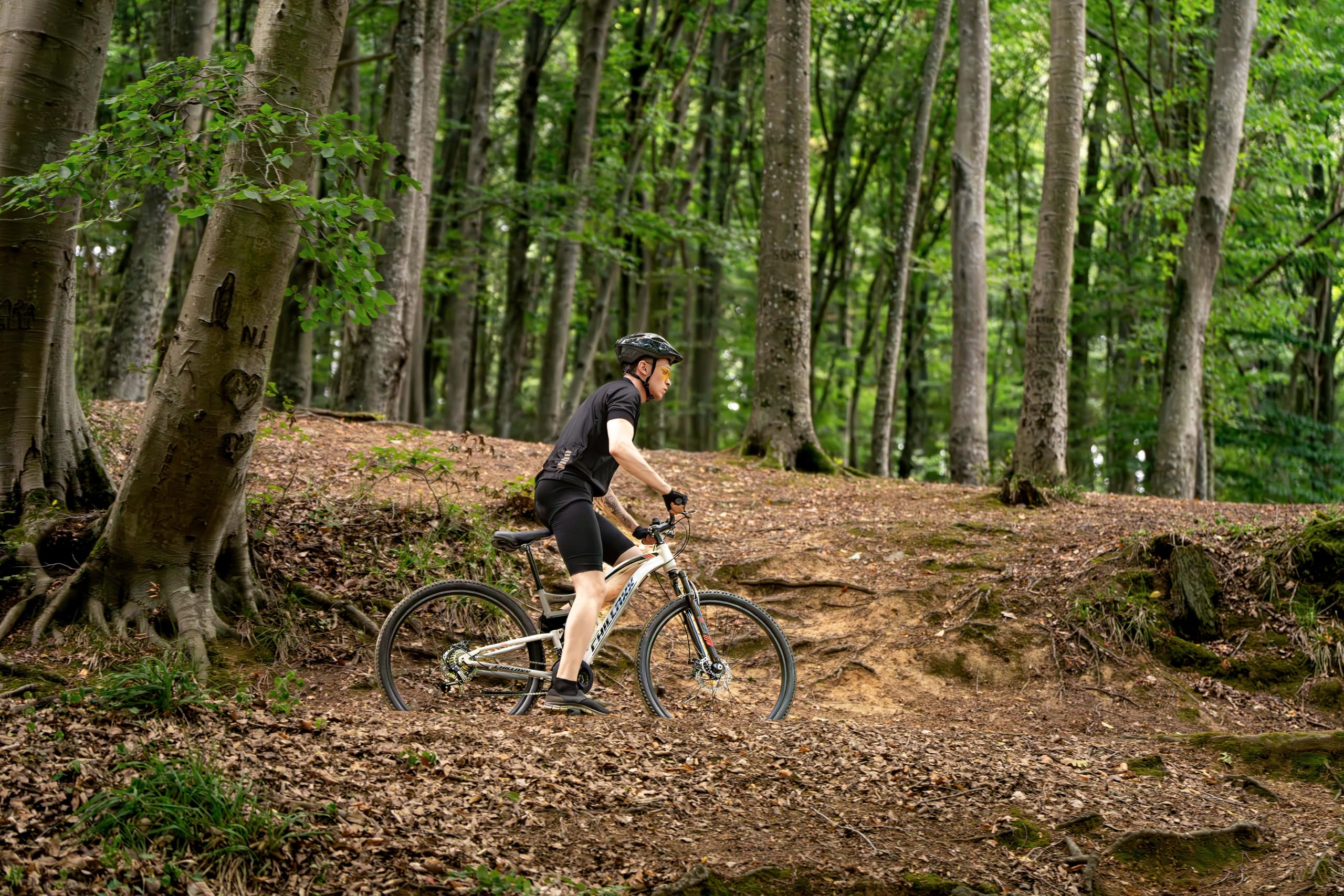Chillaxx Bike Legend Aluminium 24, 26, 27,5 und 29 Zoll Shimano Mountainbike MTB Fahrrad für Jungen Mädchen Herren und Damen 21 Gang Schaltung Herrenrad Damenrad (27,5 Zoll, Schwarz Disc-Bremse) - Image 6