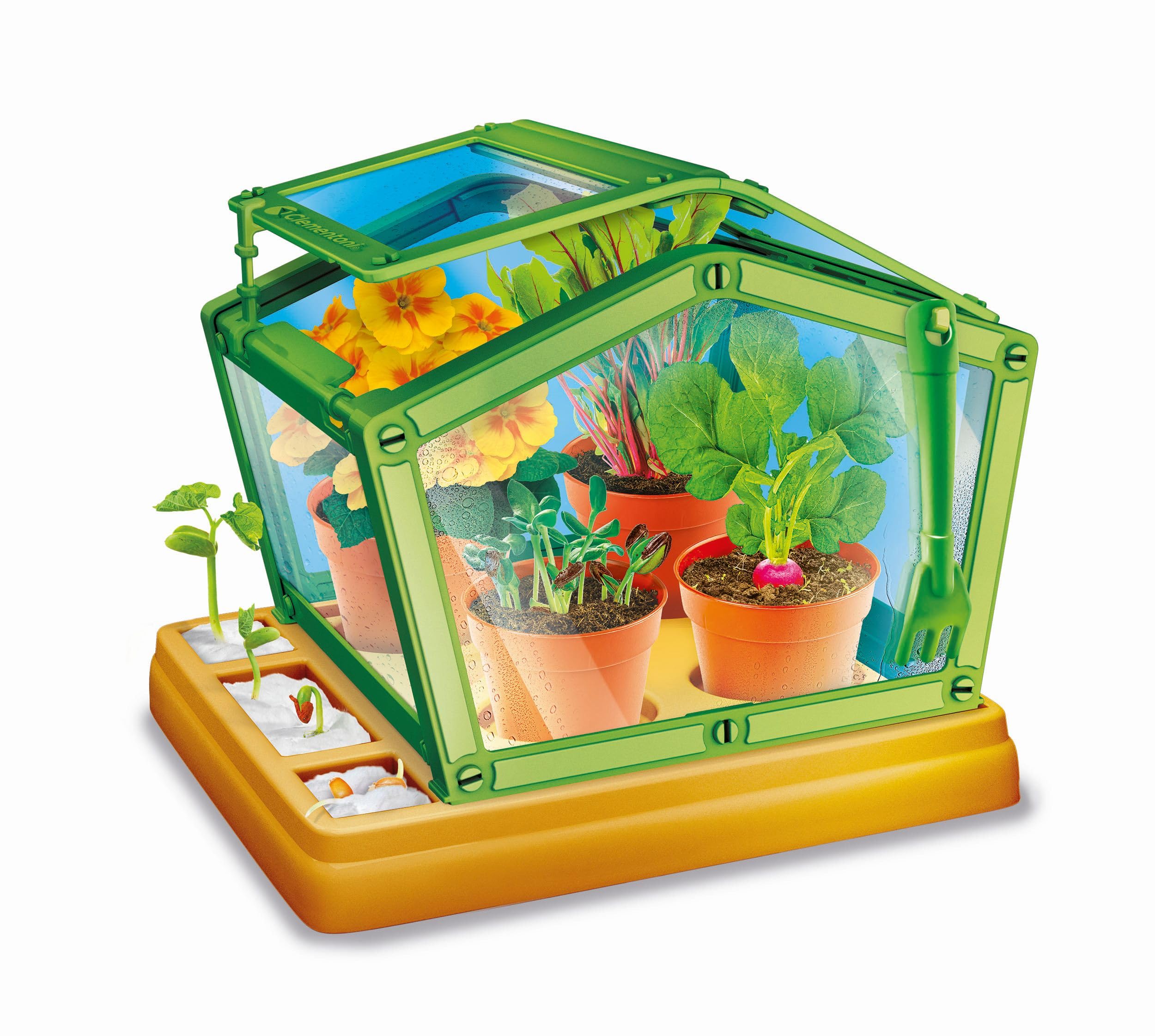 Clementoni Galileo Lab – Mein neues Gewächshaus, Pflanzkasten & Samen für Mini-Gärtner und angehende Botaniker, Spielzeug für Kinder ab 7 Jahren von Clementoni 59383 - Image 5