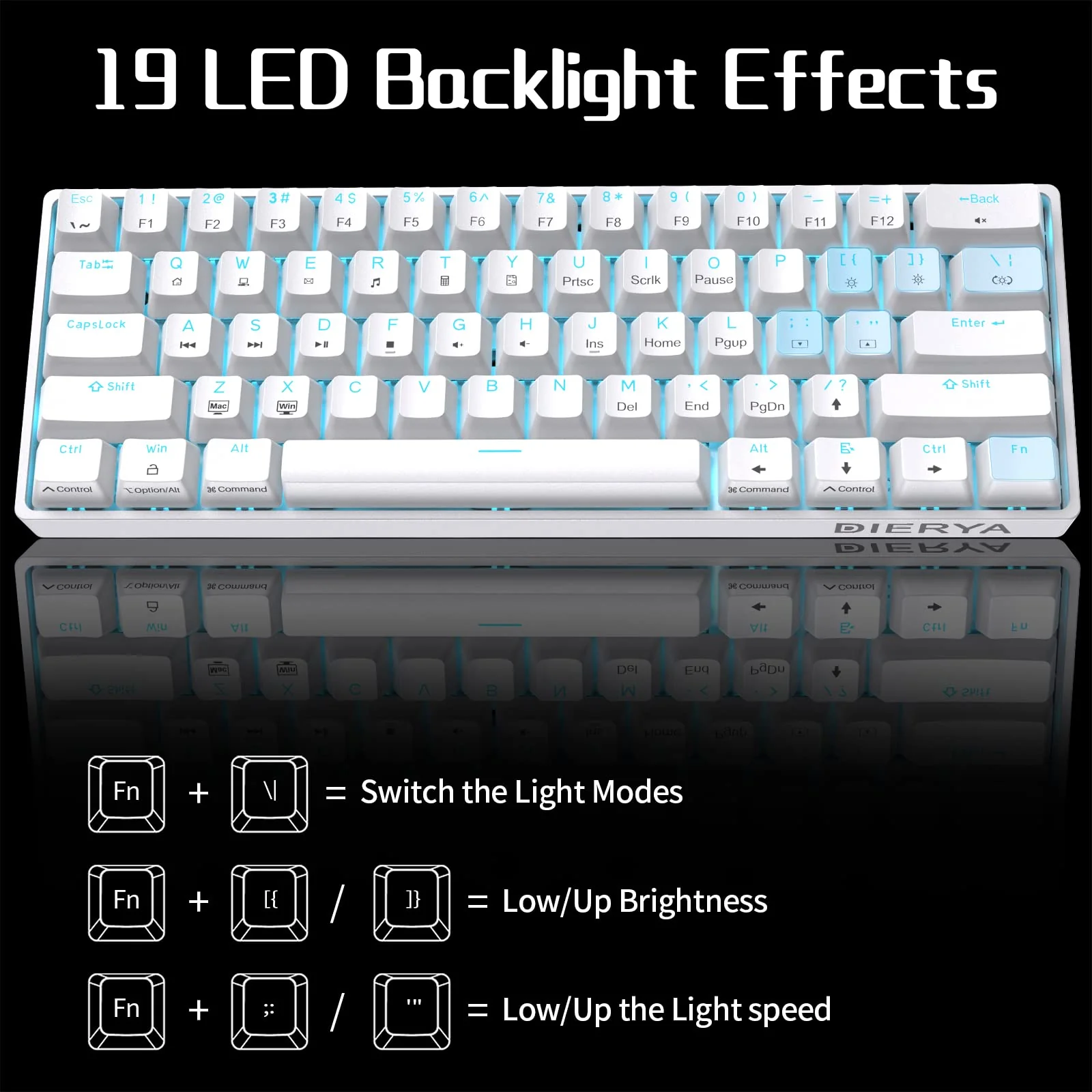 Dierya DK61se Gaming Tastatur,60% Prozent Mechanische Tastatur mit Blue Clicky Switch,Ultra-Compact Mini 61 Tasten Anti-Ghosting,Typ-C-Datenkabel,US Layout für PC Windows Gamer Typist,Weiß - Image 2