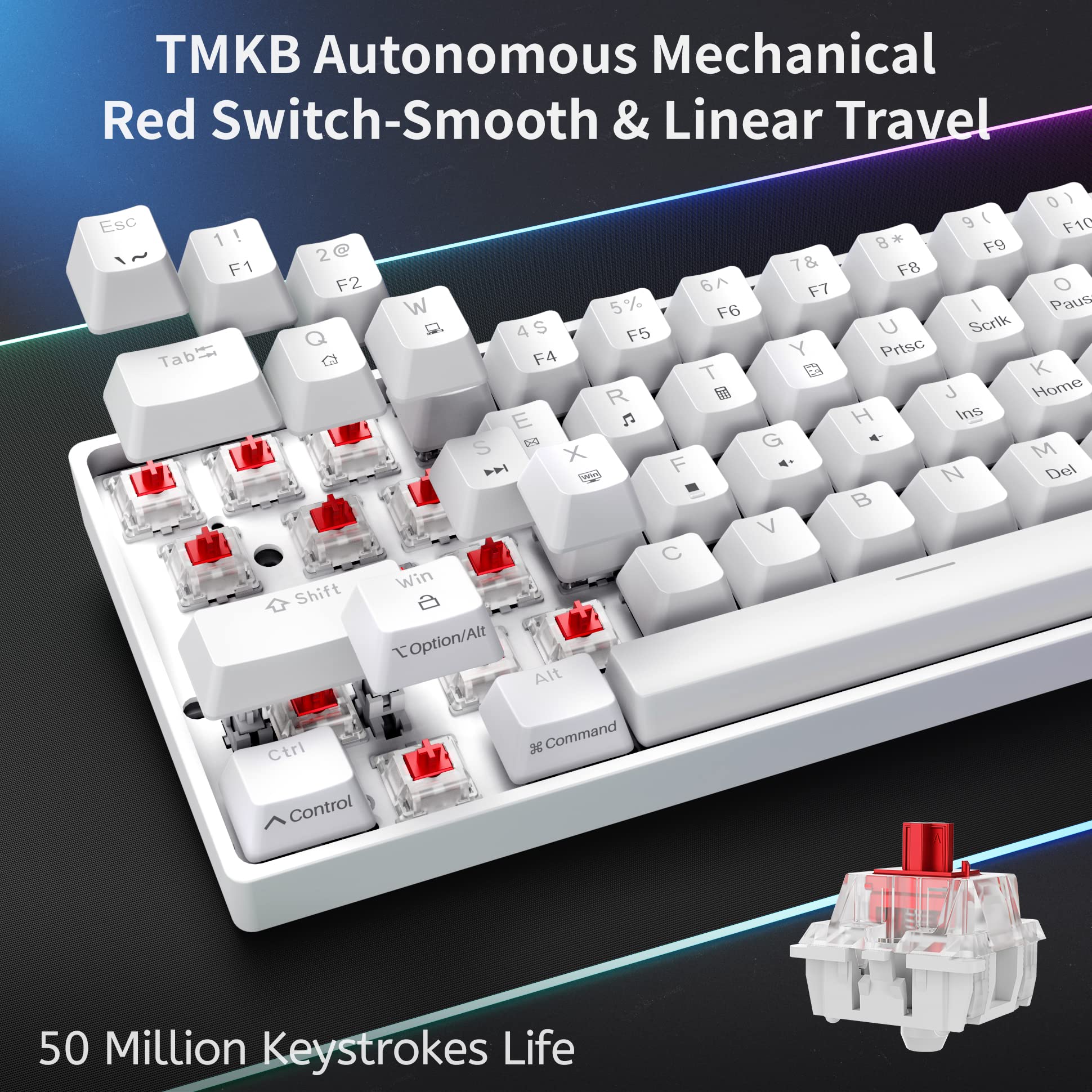 Dierya DK61se Gaming Tastatur,60% Prozent Mechanische Tastatur mit Red Linear Switch,Ultra-Compact Mini 61 Tasten Anti-Ghosting,Typ-C-Datenkabel,US Layout für PC Windows Gamer Typist,Weiß - Image 11