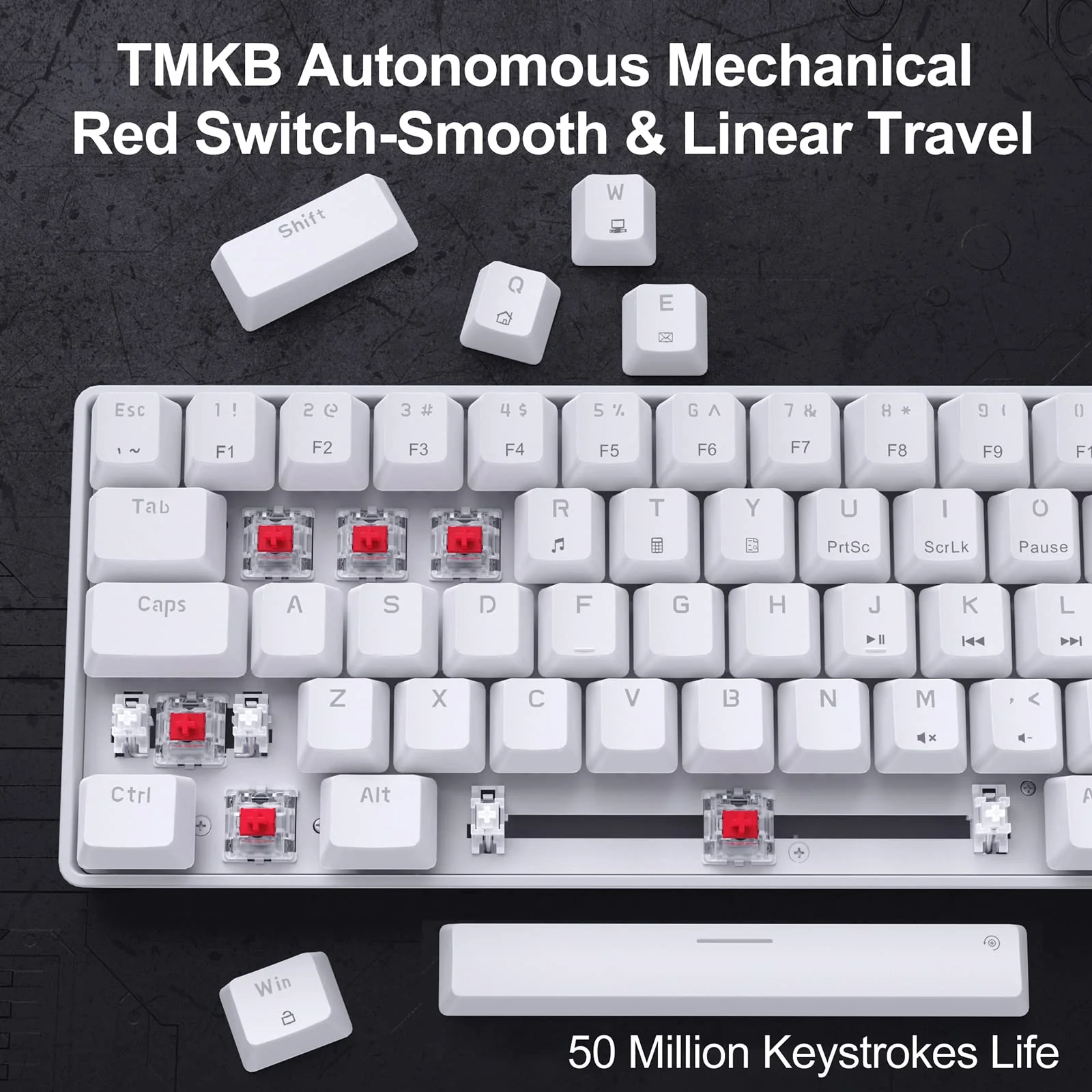 Dierya×TMKB T68se Gaming Mechanische Tastatur,60% Prozent Tastatur mit Red Linear Switch,Ultra-Compact Mini 68 Tasten Anti-Ghosting,Typ-C-Datenkabel,US Layout für PC Windows Gamer Typist - Image 6