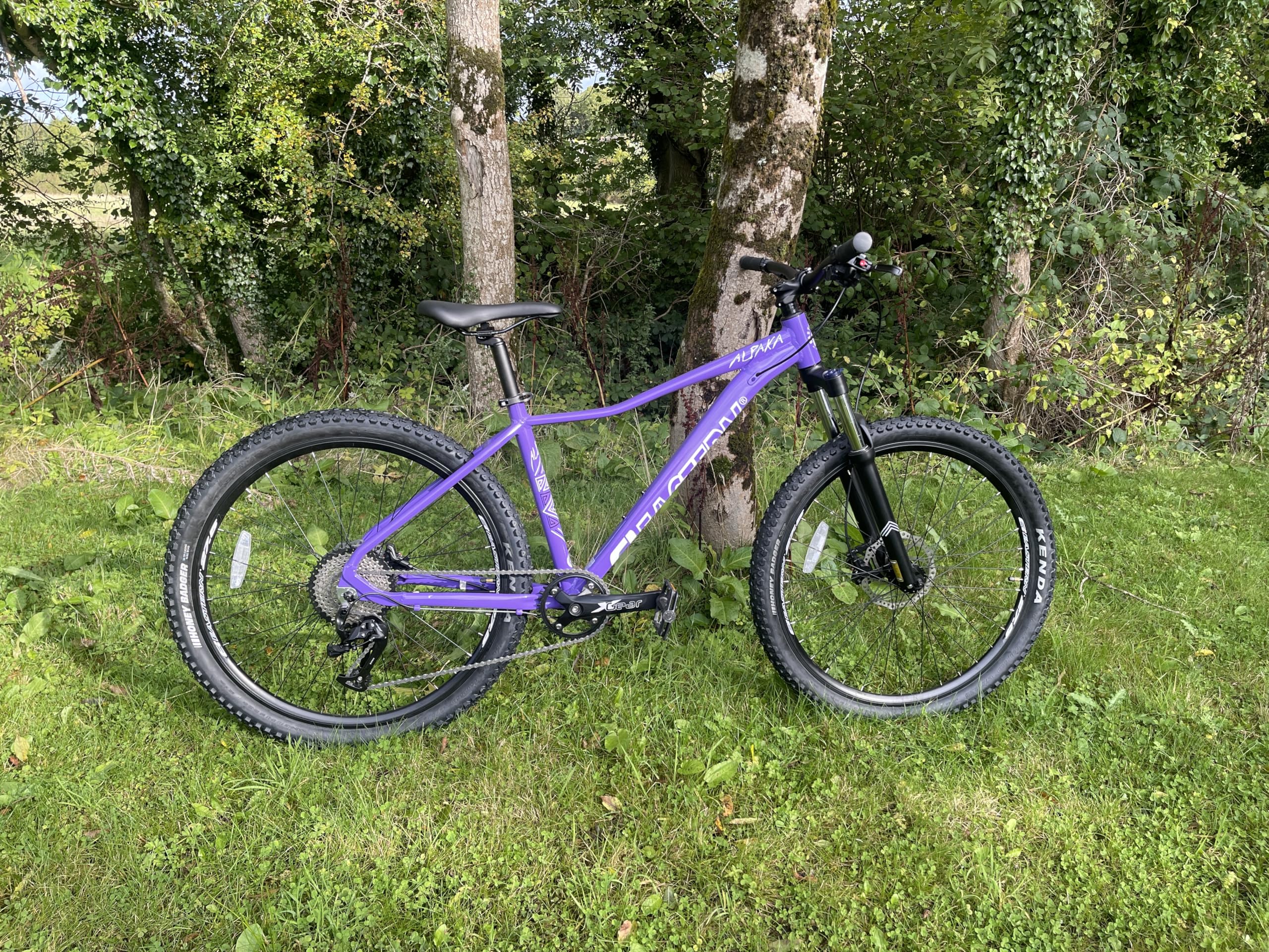 Eastern Bikes Alpaka 27,5" leichtes MTB-Mountainbike, 9-Gang, hydraulische Scheibenbremsen, Federgabel, in 3 Rahmengrößen Erhältlich (15", Lila) - Image 5