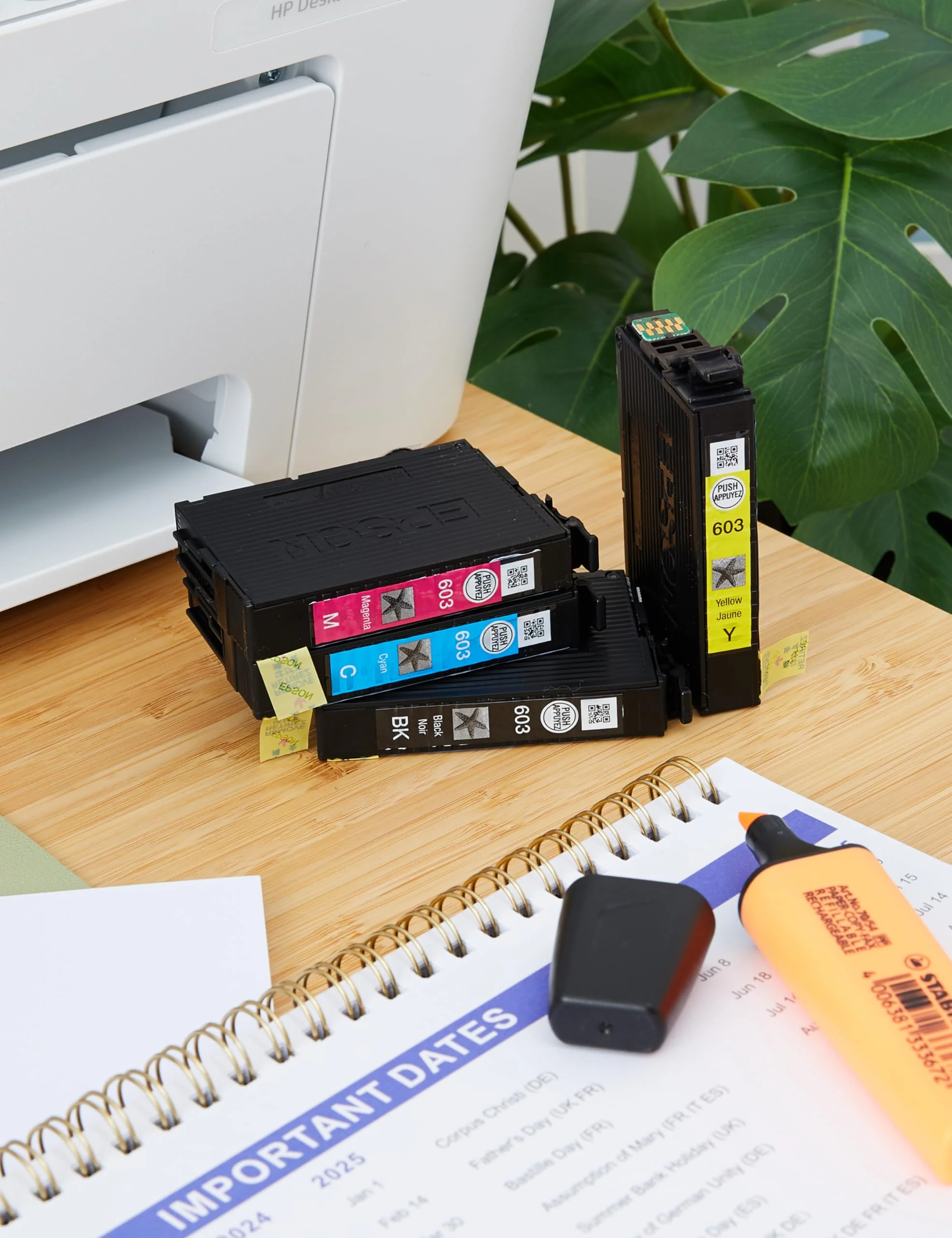 Epson Multipack 4-Colours 603 Ink - Druckerpatronen - Image 2