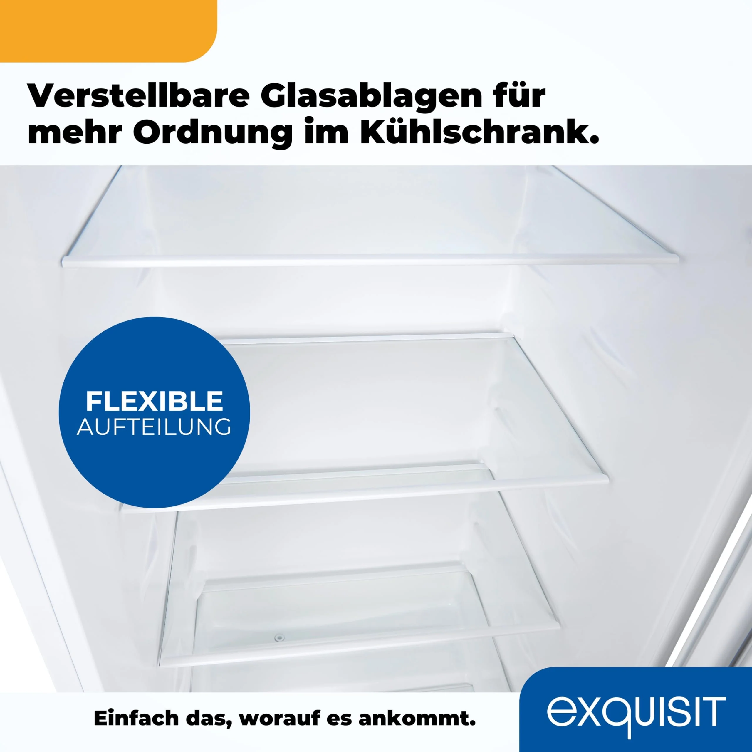 Exquisit Kühlschrank ohne Gefrierfach, Großer Kühlschrank, 5 Ablagen, 242 Liter, Vollraumkühlschrank 143 cm hoch, KS5320-V-H-040E weiss - Image 6