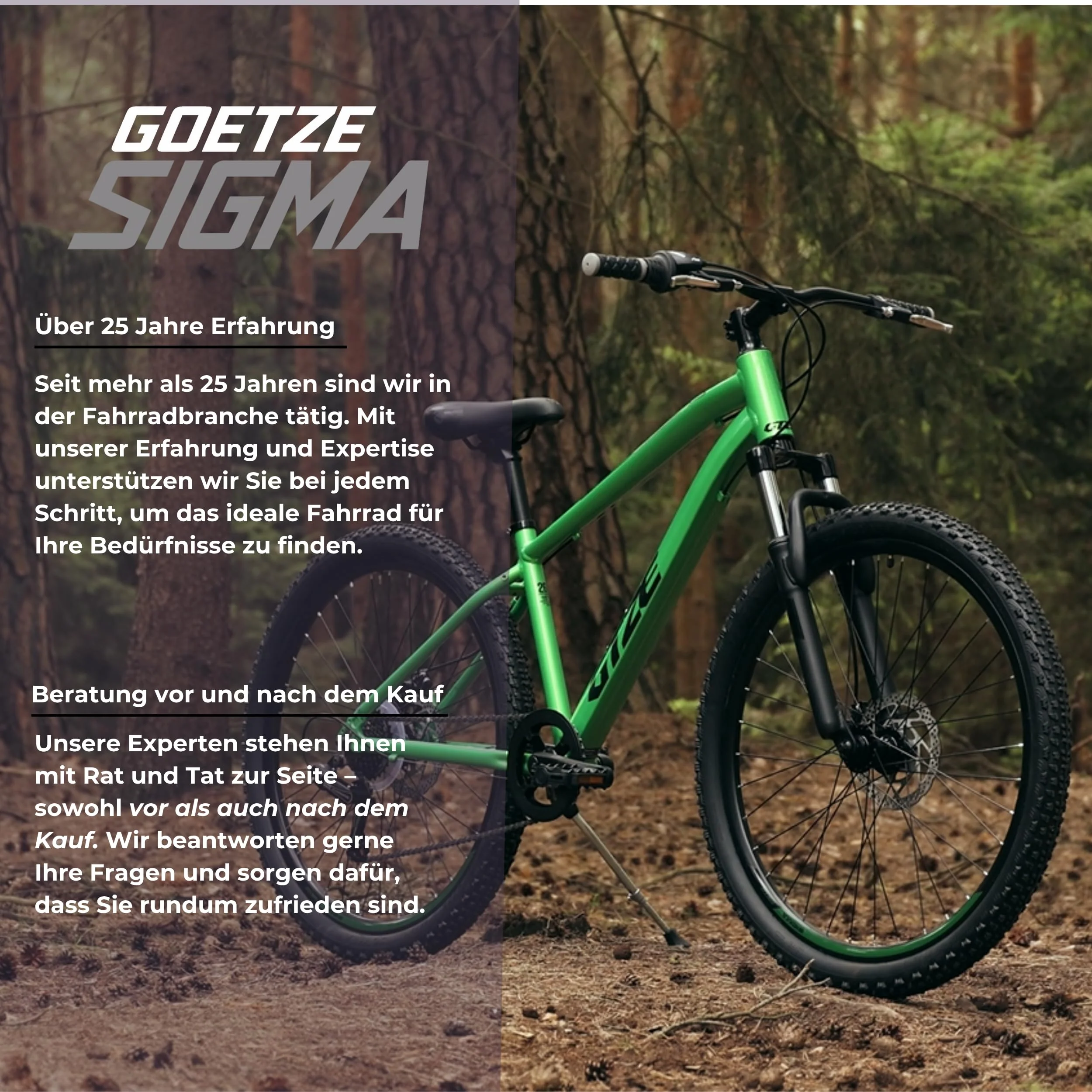 Goetze Sigma 26 x 2.10 Zoll Jugendfahrrad | MTB Hardtail | 7-Gang Kettenschaltung mit Drehgriff | Mechanische Scheibenbremsen | Aluminiumrahmen 15" | Federgabel | ab 145 cm Körpergröße - Image 2