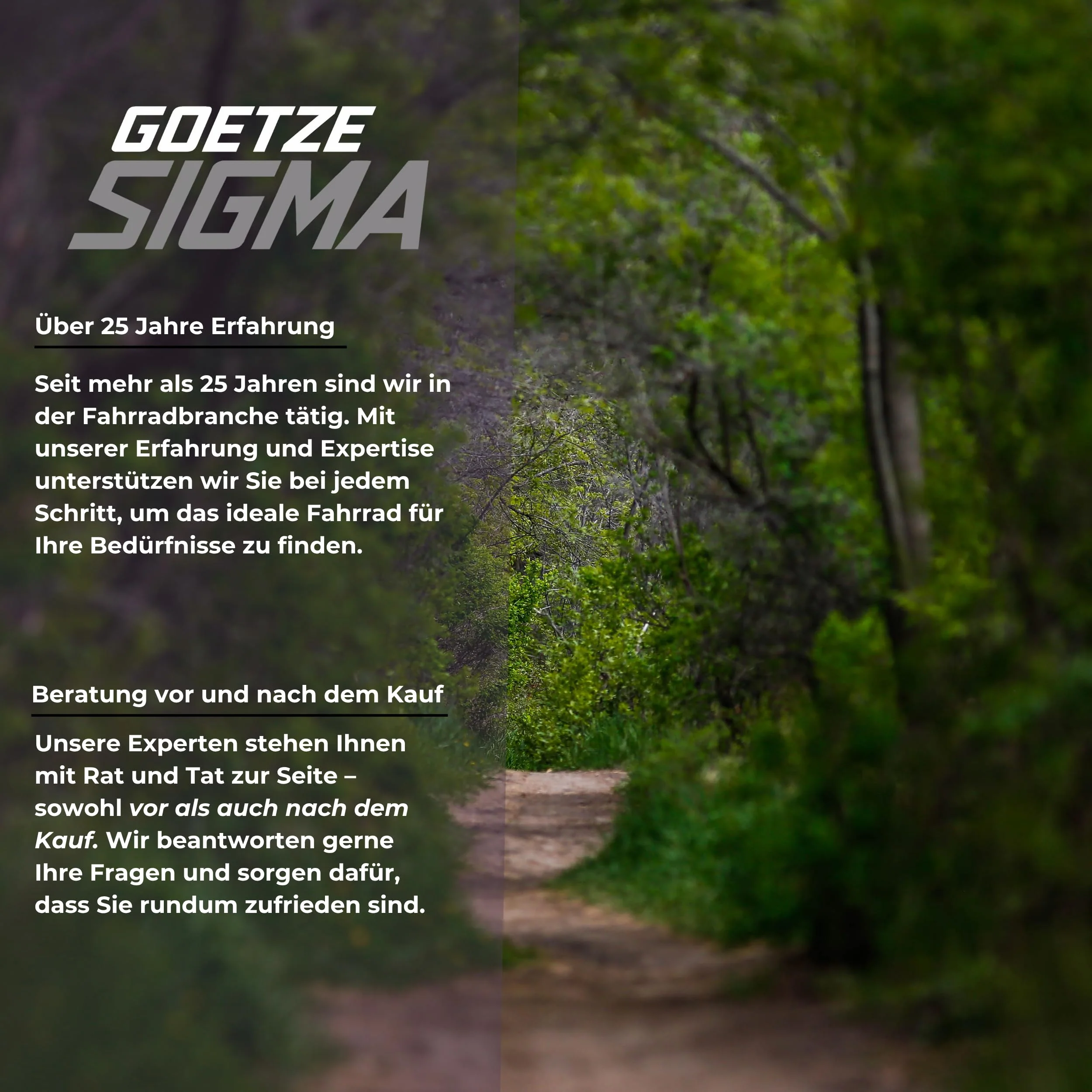 Goetze Sigma 27,5 x 2.10 Zoll Fahrrad für Jugendliche & Erwachsene | MTB Hardtail | 7-Gang Kettenschaltung | Mechanische Scheibenbremsen | Aluminiumrahmen 17" | Federgabel | ab 165 cm Körpergröße - Image 2