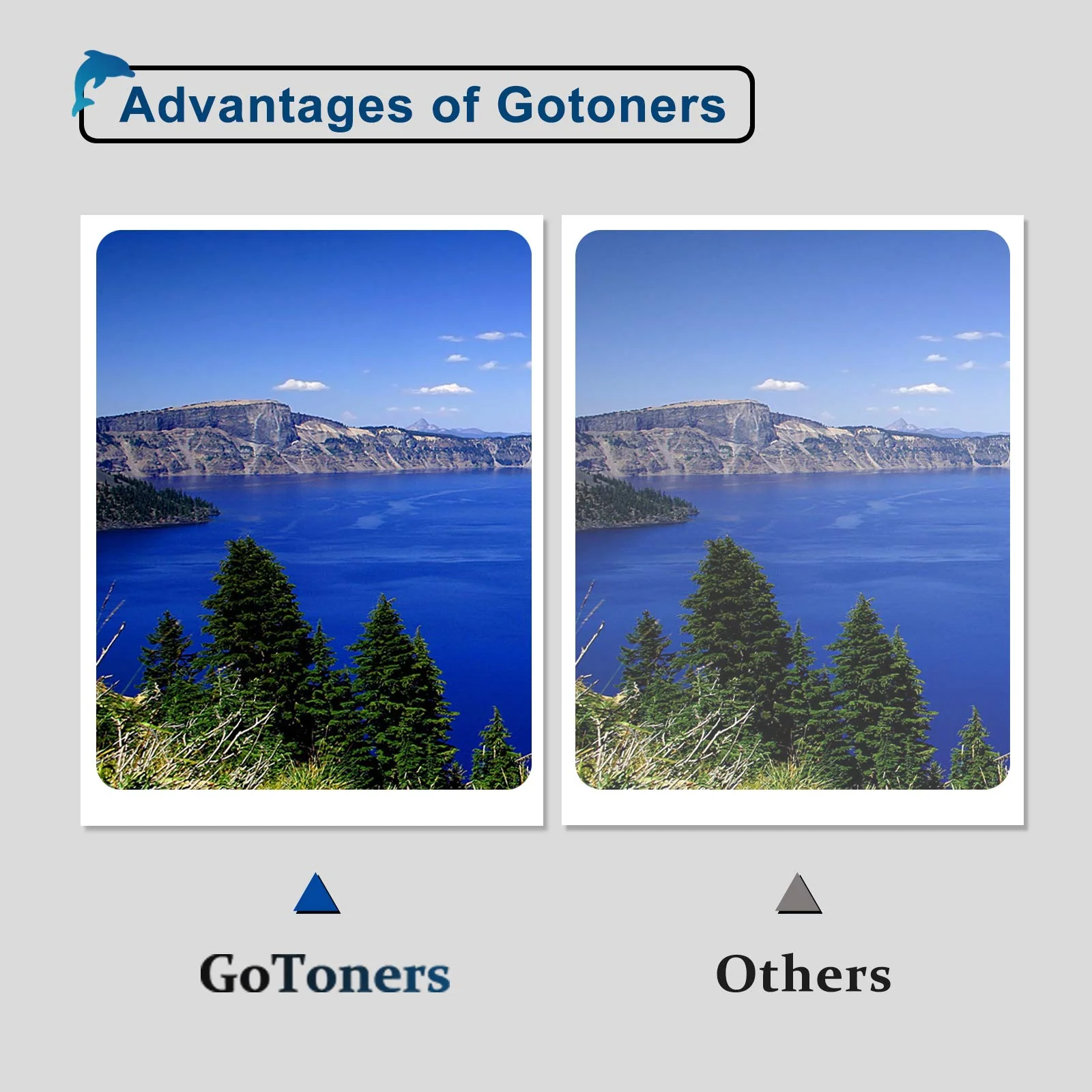 GoToners 604 XL Druckerpatronen Kompatibel für Epson 604 604XL Patronen für Expression Home XP-3200 XP-3205 XP-4200 XP-4205 XP-2200 XP-2205, Workforce WF-2910 WF-2930 WF-2935 WF-2950 (10er-Pack) - Image 4