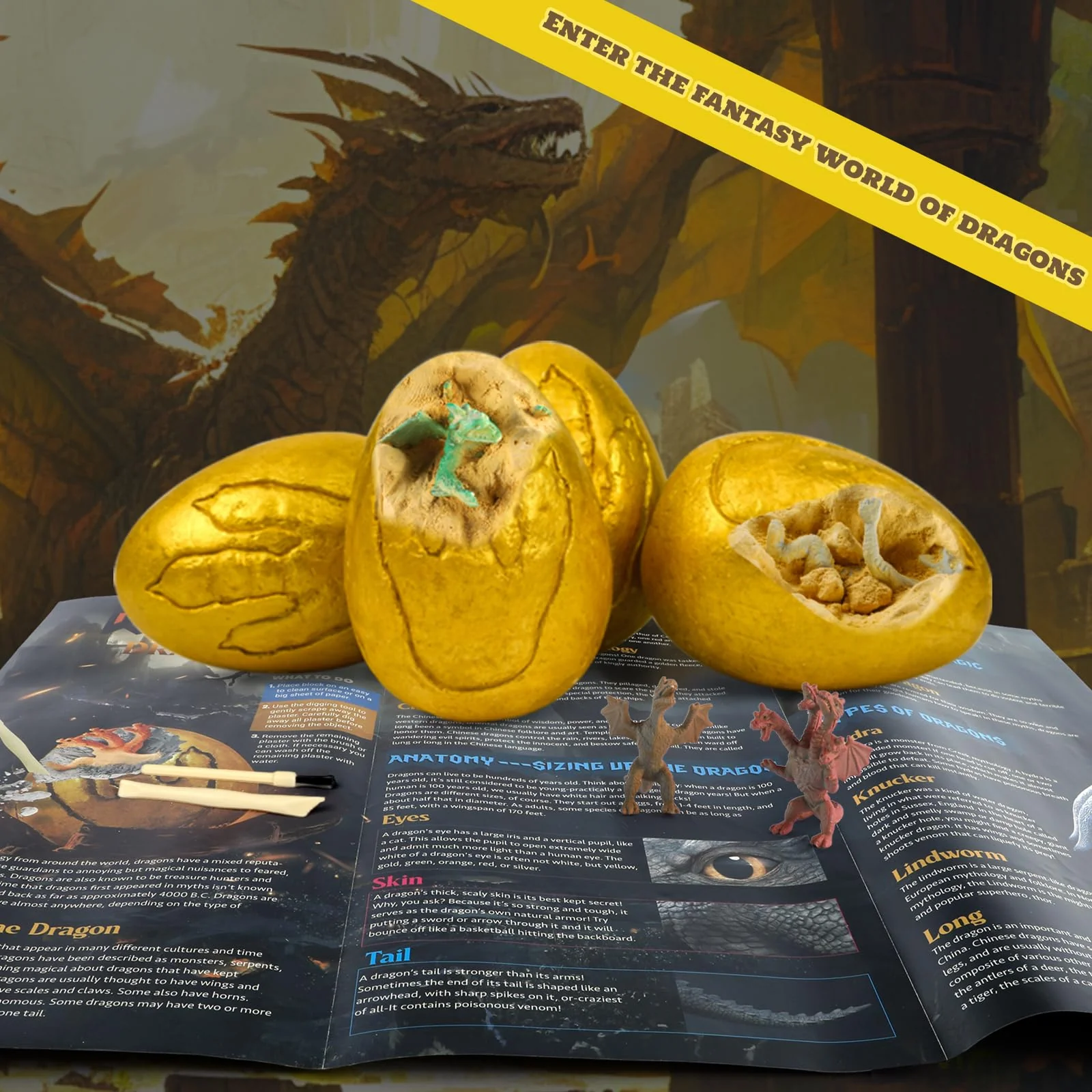Grabset für Kinder Gold Drachenei Ausgrabungsset für Kinder - 12-Drachenspielzeug Ausgraben - Experimente Geschenk Junge Mädchen 5 6 7 8 9 10 11 12 Jahre - Image 2