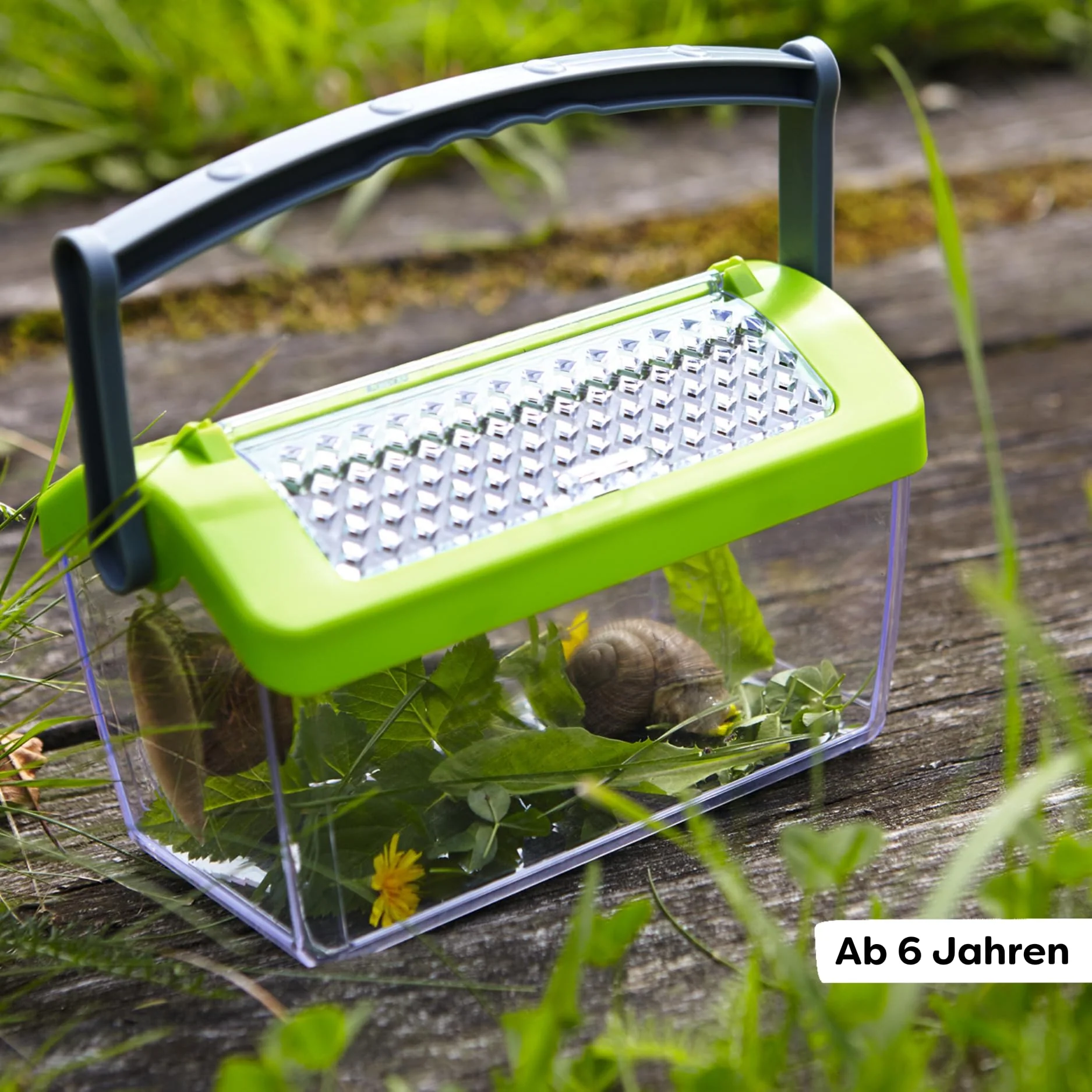 HABA Terra Kids Insektenbox – Naturforschung für Kinder ab 6 Jahren, robuste Beobachtungsstation aus Kunststoff mit Tragegriff und Luftlöchern – 1301513001 - Image 3