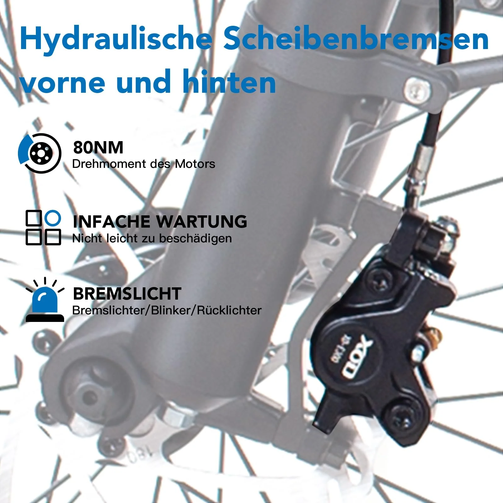 HAOQI Eagle Elektrofahrrad für Erwachsene, 250W bürstenloser Motor Mountainbike mit 48V 20AH herausnehmbarem Akku,26" x 4.0 Fat Tire Ebike, Elektrofahrrad mit 7 Gängen bis zu 25 km/h - Image 4