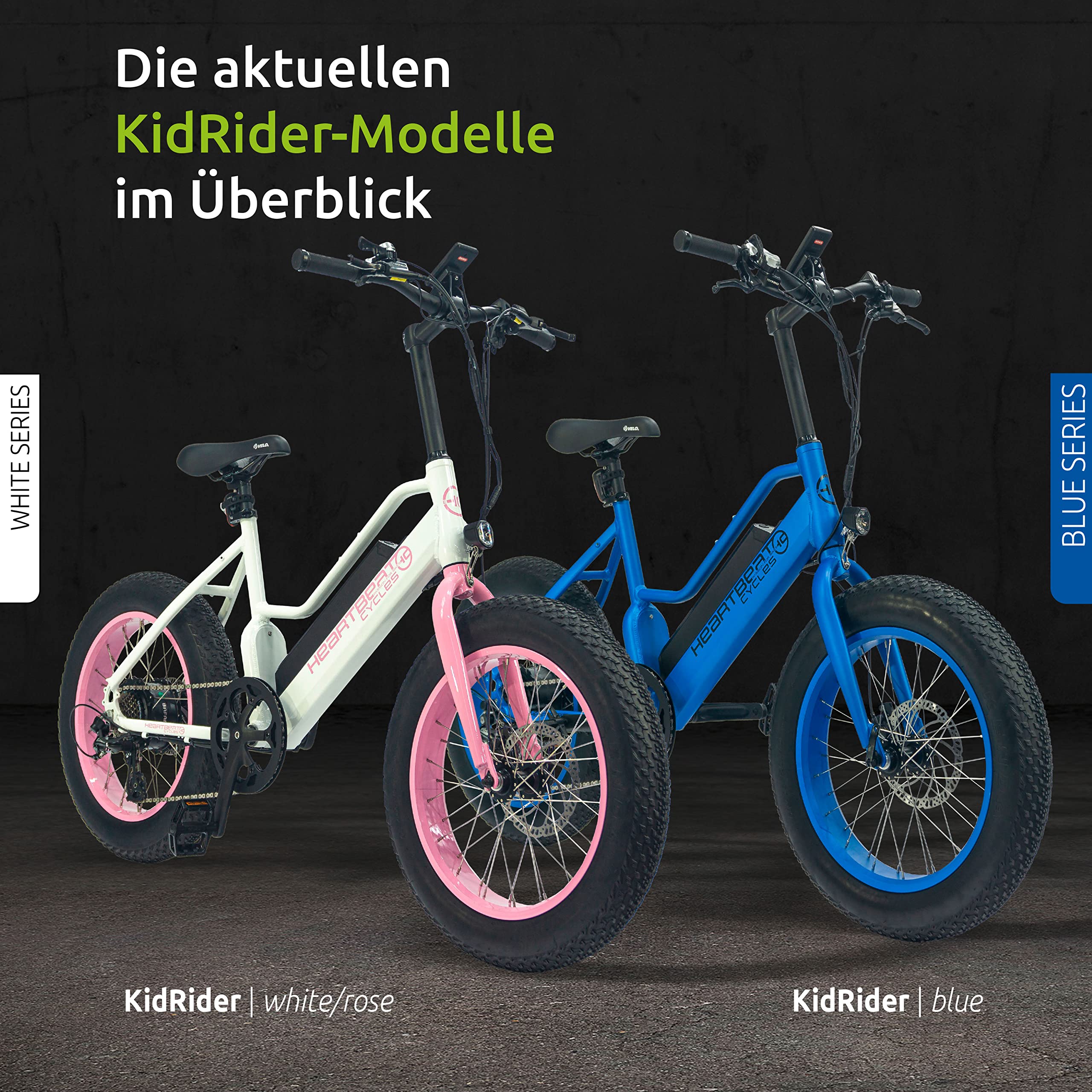 Highphoria Elektrofahrrad Kinder 20 Zoll, Fat Tire E-Bike für Kids, 25 km/h 100km E-Mountainbike Elektro Fahrrad mit 48V 250W Motor, 7-Gänge Pedelec (Blau/Blau) - Image 7