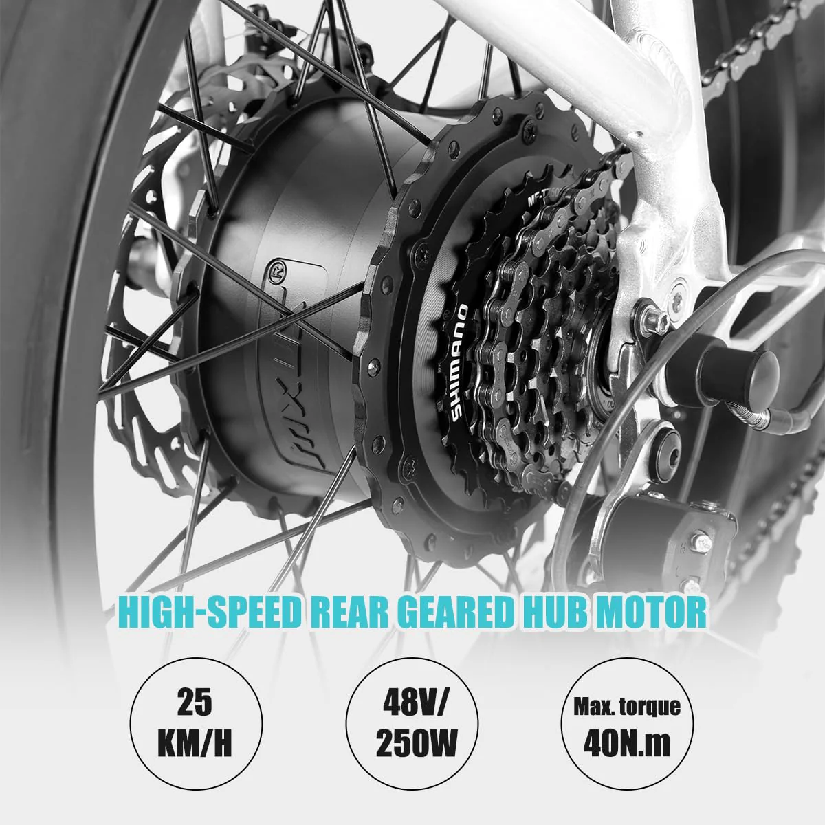 HILAND 20 Zoll 4.0 Fat Tire E Bike Cargo für Erwachsene, Aluminium Alloy Frame Fat Tire Elektrofahrrad, Suspension Fork Elektrofahrrad mit Gepäckträger für Damen und Herren Silber - Image 9