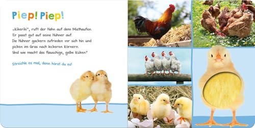 Hör mal rein, wer kann das sein? – Bauernhoftiere: Streicheln und hören | Hochwertiges Pappbilderbuch mit 5 Sounds und Fühlelementen für Kinder ab 6 Monaten - Image 4