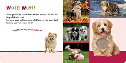 Hör mal rein, wer kann das sein? – Kuschelige Tiere: Streicheln und hören | Hochwertiges Pappbilderbuch mit 5 Sounds und Fühlelementen für Kinder ab 6 Monaten - Image 6