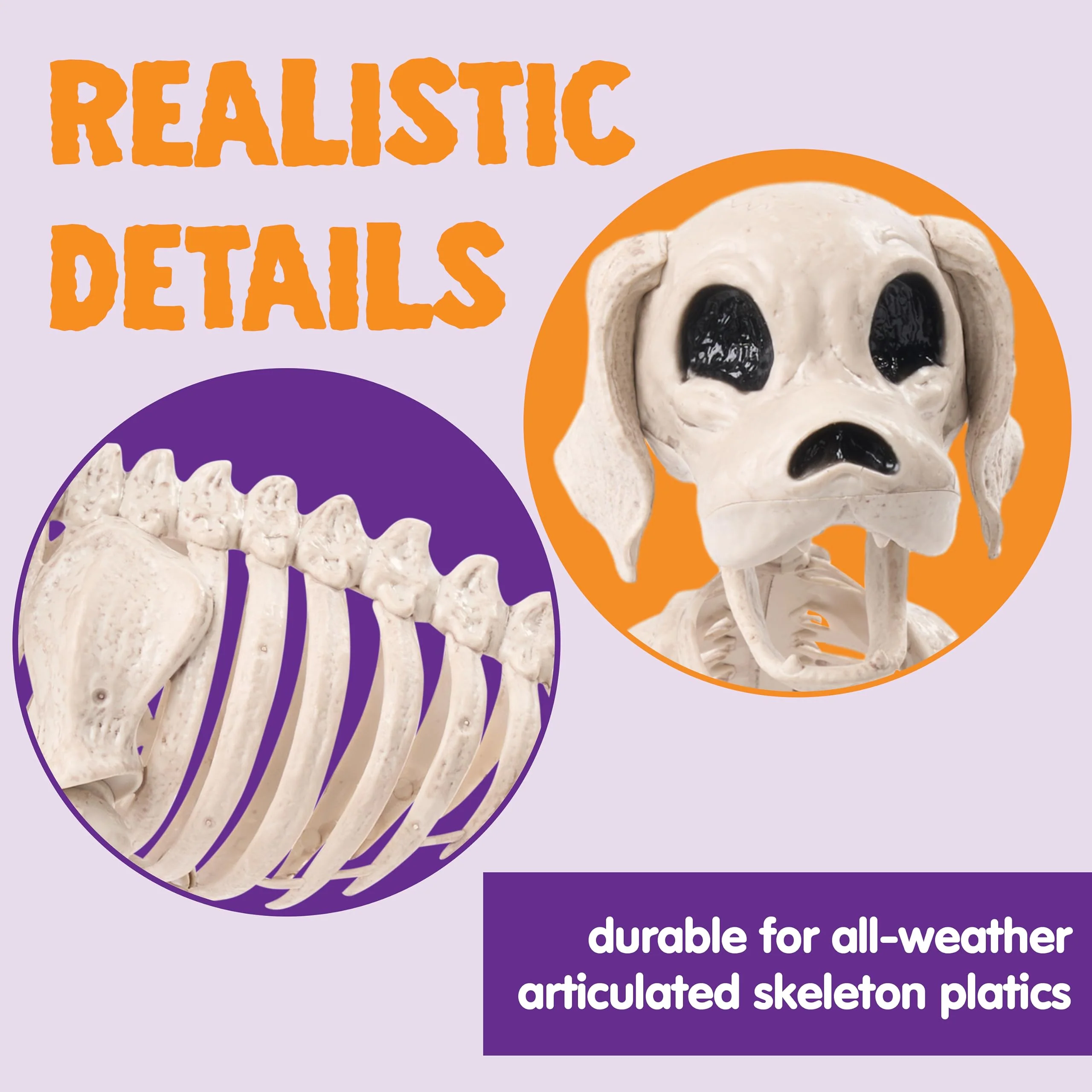 JOYIN Halloween Hund Skelett Ganzkörper Posable Gelenke Skelett Welpe, Sitzendes Hunde Skelett Deko Mit Realistischen Zähnen für Halloween Dekoration Friedhof Spukhaus Party 24.8cm x 32cm - Image 3