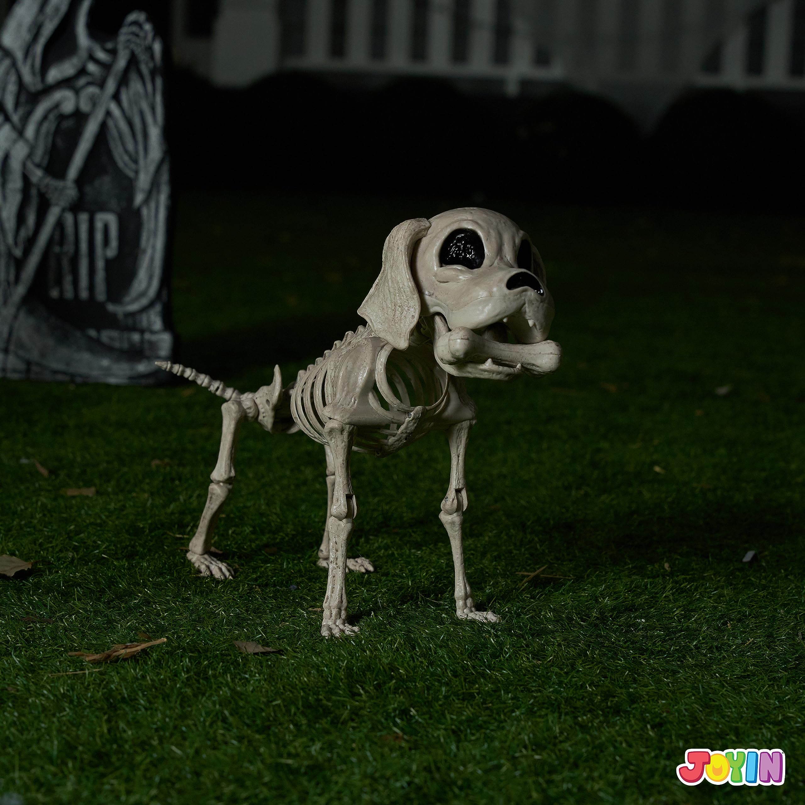JOYIN Halloween Hund Skelett Ganzkörper Posable Gelenke Skelett Welpe, Sitzendes Hunde Skelett Deko Mit Realistischen Zähnen für Halloween Dekoration Friedhof Spukhaus Party 24.8cm x 32cm - Image 5