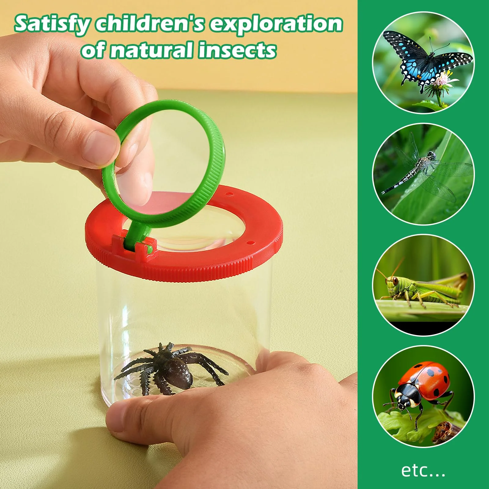 Kisvic Becherlupen für Kinder, 2 Stück Lupenglas für Kinder Insekten Viewer für 3-Fach und 6-Fach, Kleinkindspielzeug für Kinder Outdoor Wissenschaft Natur Erkundung - Image 3