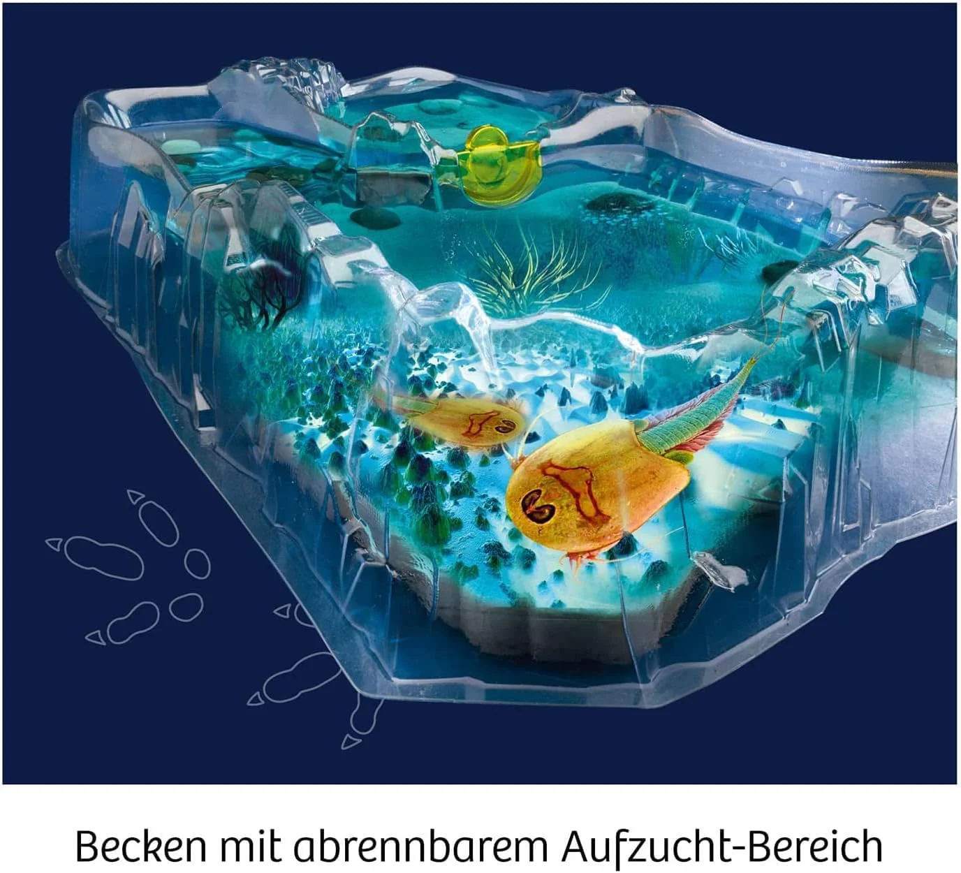 KOSMOS 637231 Fun Science - Triops züchten, Urzeitkrebse hautnah erleben, Starter-Set, Experimentierset für Einsteiger und Kinder ab 8 Jahre, Experimentierkasten - Image 4