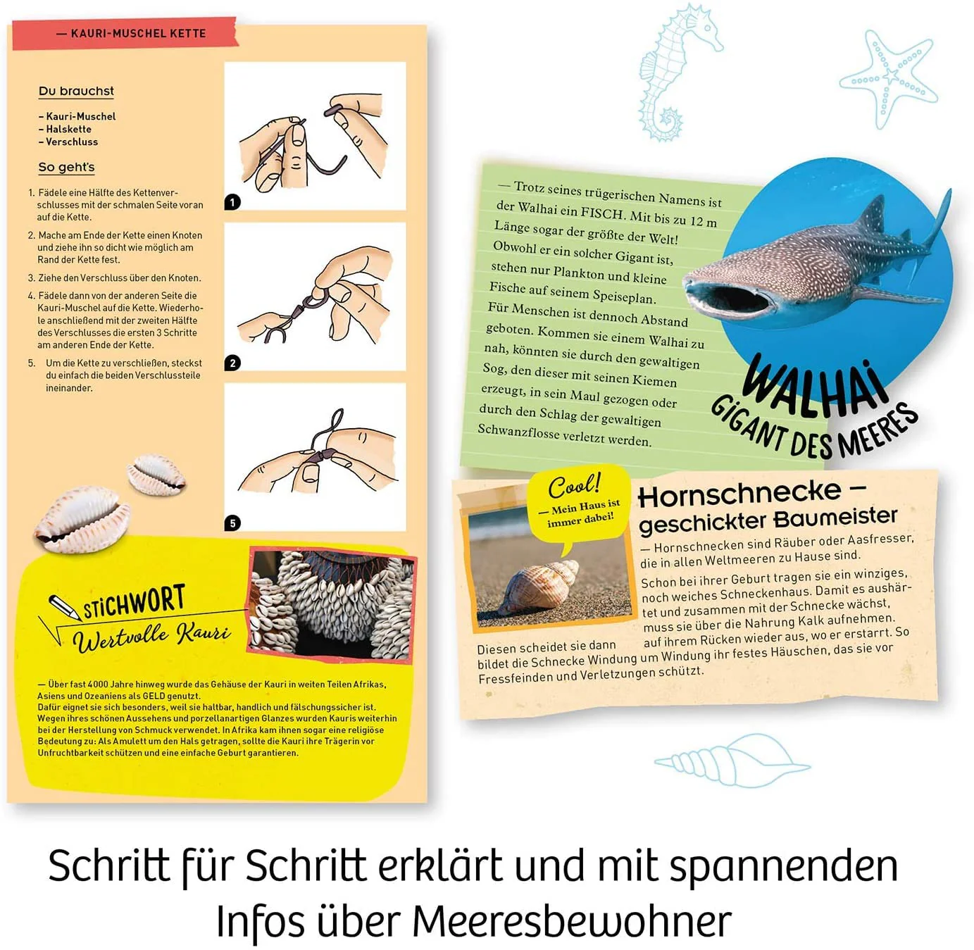 KOSMOS 658038 Meeres-Abenteuer, Grabe die Tiere aus dem versteinerten Meer frei. Mit Muschel-Kettenanhänger, Experimentierset für Kinder ab 7-10 Jahre, Deko, Schmuck, Mitbringsel, kleines Geschenk - Image 4