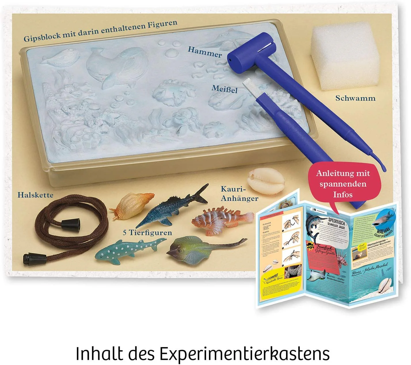 KOSMOS 658038 Meeres-Abenteuer, Grabe die Tiere aus dem versteinerten Meer frei. Mit Muschel-Kettenanhänger, Experimentierset für Kinder ab 7-10 Jahre, Deko, Schmuck, Mitbringsel, kleines Geschenk - Image 6