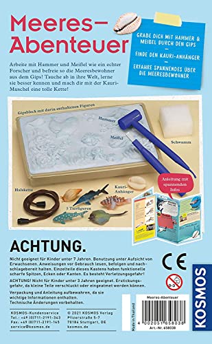 KOSMOS 658038 Meeres-Abenteuer, Grabe die Tiere aus dem versteinerten Meer frei. Mit Muschel-Kettenanhänger, Experimentierset für Kinder ab 7-10 Jahre, Deko, Schmuck, Mitbringsel, kleines Geschenk - Image 7