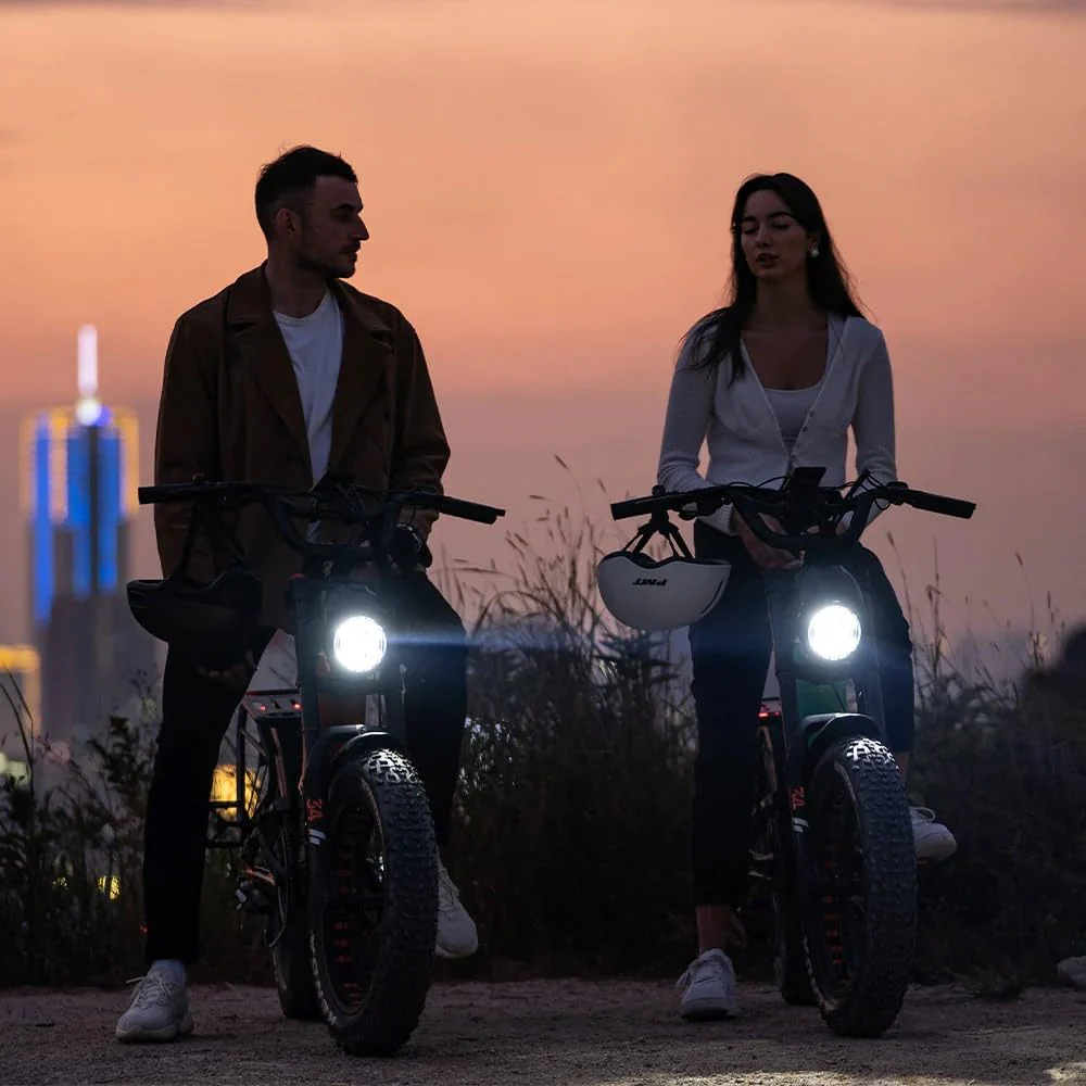 LANKELEISI RX800 Plus E Bike 20 Zoll Elektrofahrräder für Herren und Damen, Vollfederung E-Fahrrad mit 48V 20Ah Wechselakku, 7 Gang Fatbike, Reichweite bis zu 150 Km - Image 2