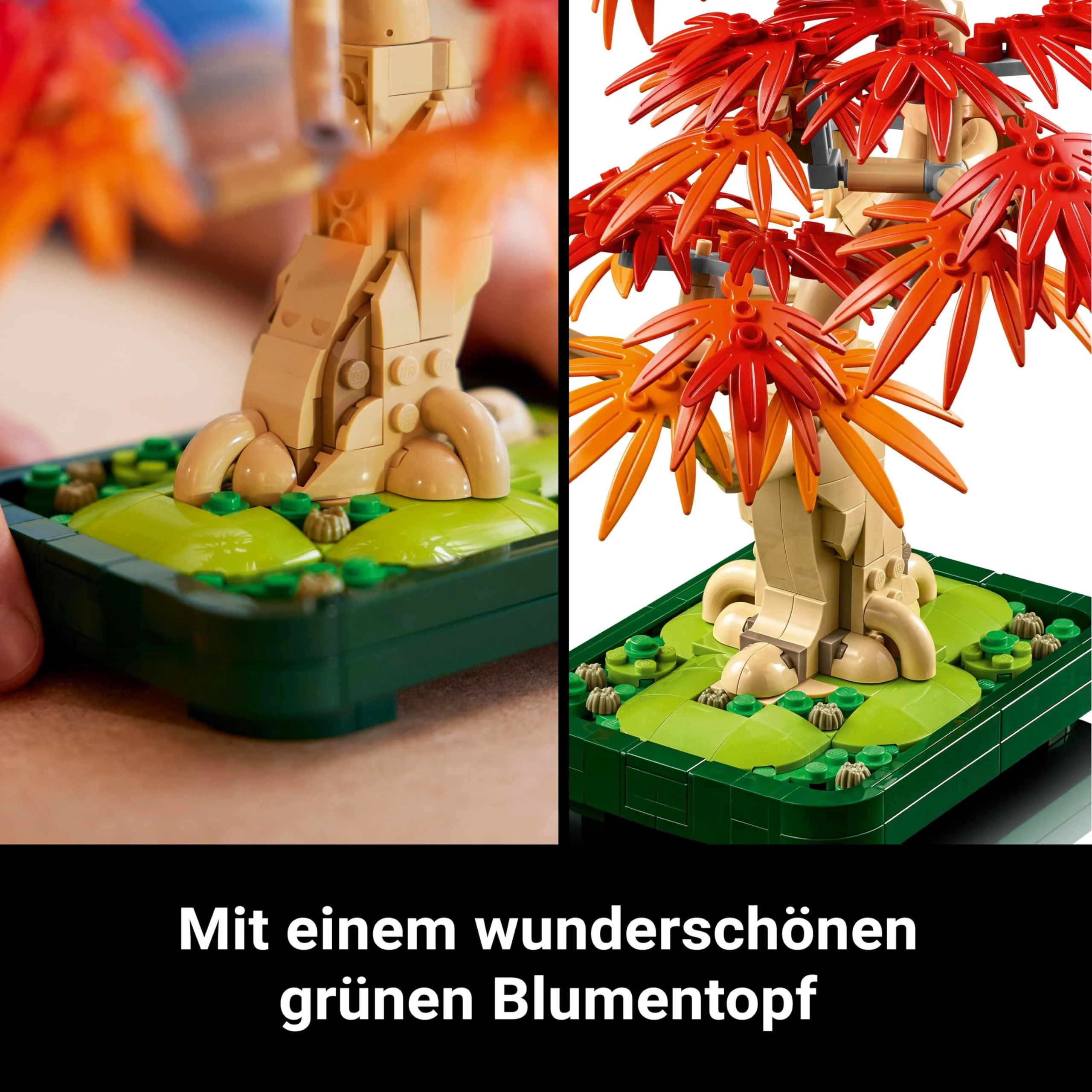 LEGO Botanicals Japanischer Roter Ahorn – Bonsai-Baum - Künstliche Pflanzen Bauset mit roten & orangen Blättern, Plus Schale - Home Dekor - Geschenkidee für Erwachsene - 10348 - Image 8