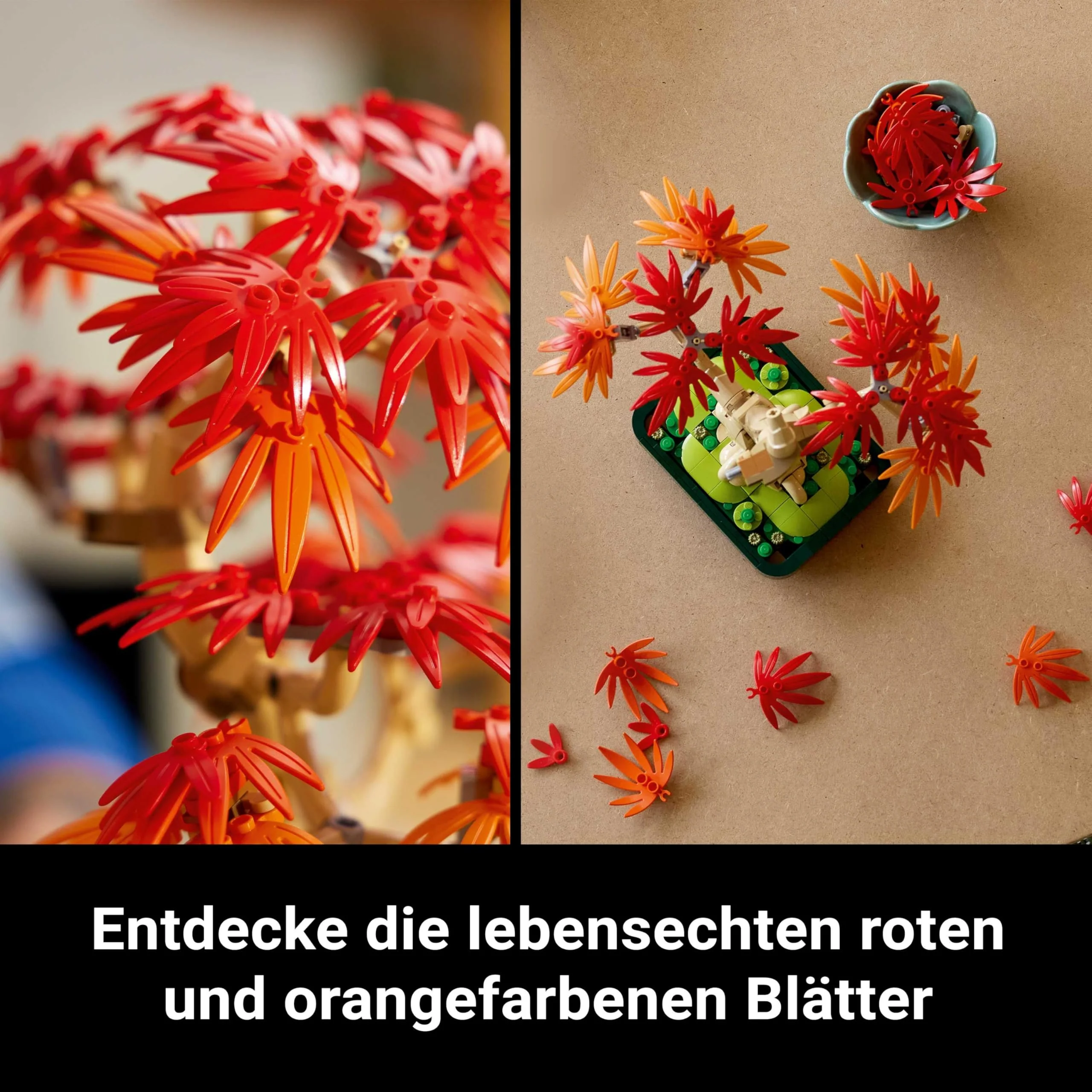 LEGO Botanicals Japanischer Roter Ahorn – Bonsai-Baum - Künstliche Pflanzen Bauset mit roten & orangen Blättern, Plus Schale - Home Dekor - Geschenkidee für Erwachsene - 10348 - Image 9