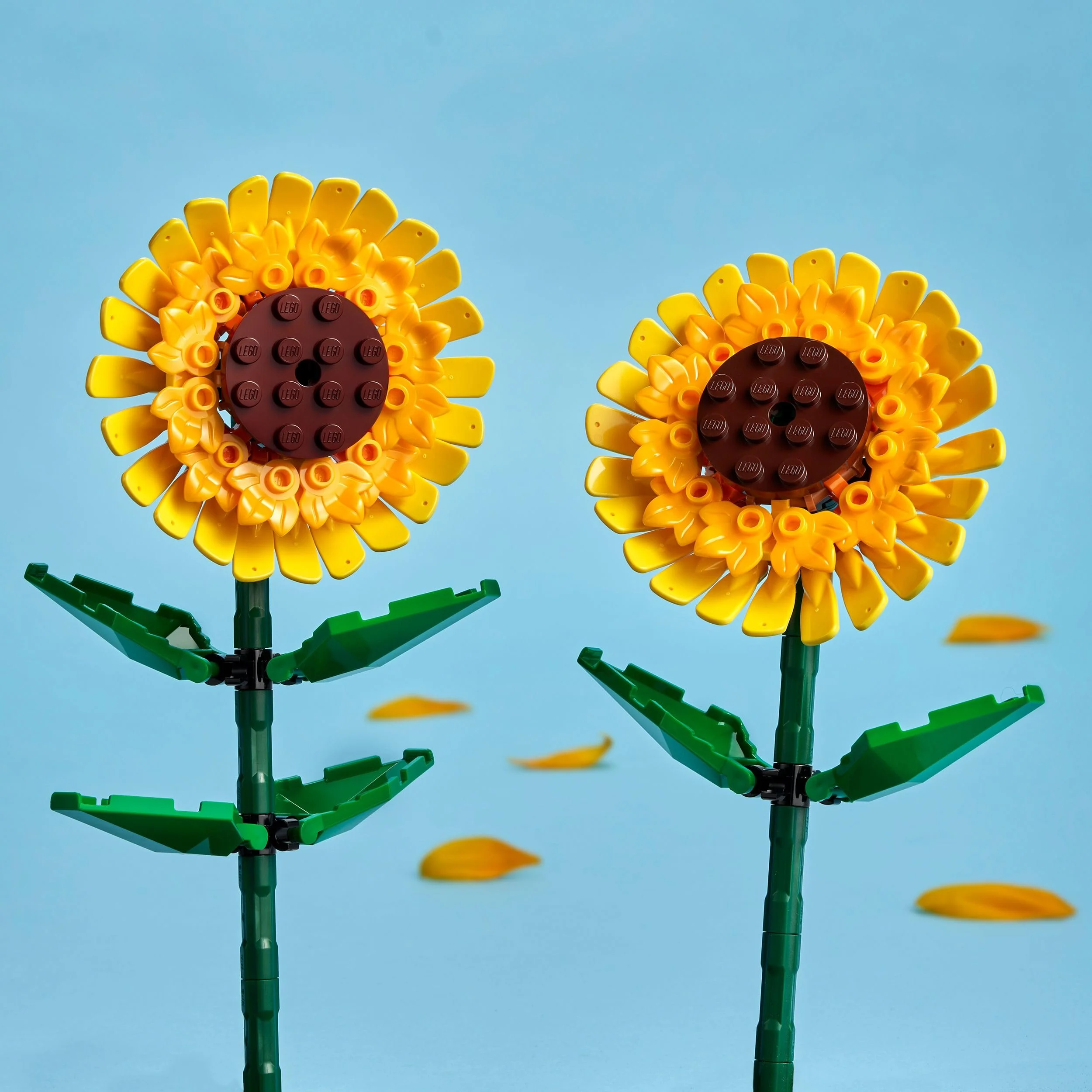 LEGO Botanicals Sonnenblumen - Set mit Kunstblumen für Kinder ab 8 Jahren - Kinderzimmer-Deko oder Blumenstrauß - Geschenk für Jugendliche, Mädchen und Jungen - Botanik Kollektion 40524 - Image 7
