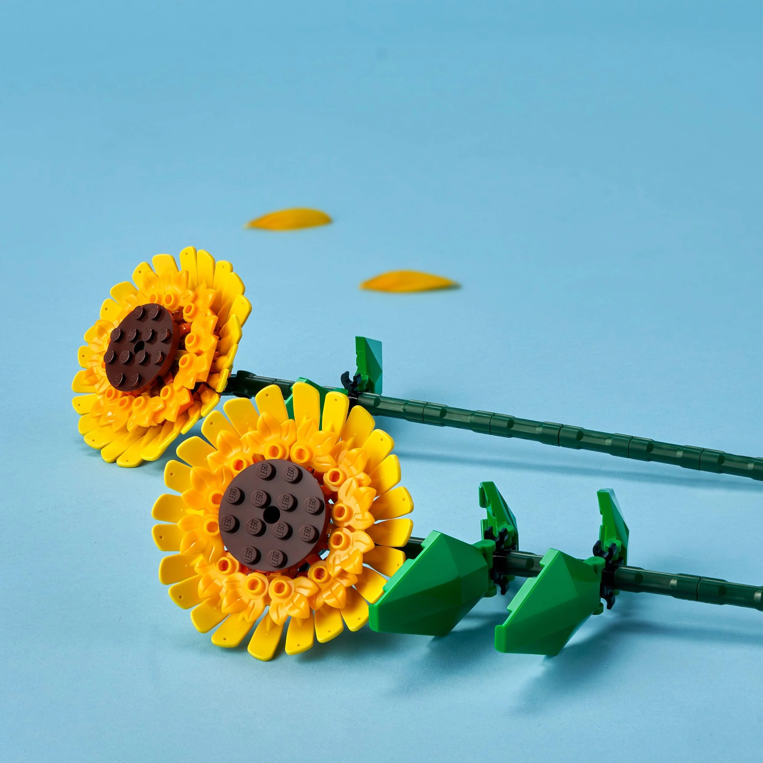 LEGO Botanicals Sonnenblumen - Set mit Kunstblumen für Kinder ab 8 Jahren - Kinderzimmer-Deko oder Blumenstrauß - Geschenk für Jugendliche, Mädchen und Jungen - Botanik Kollektion 40524 - Image 8