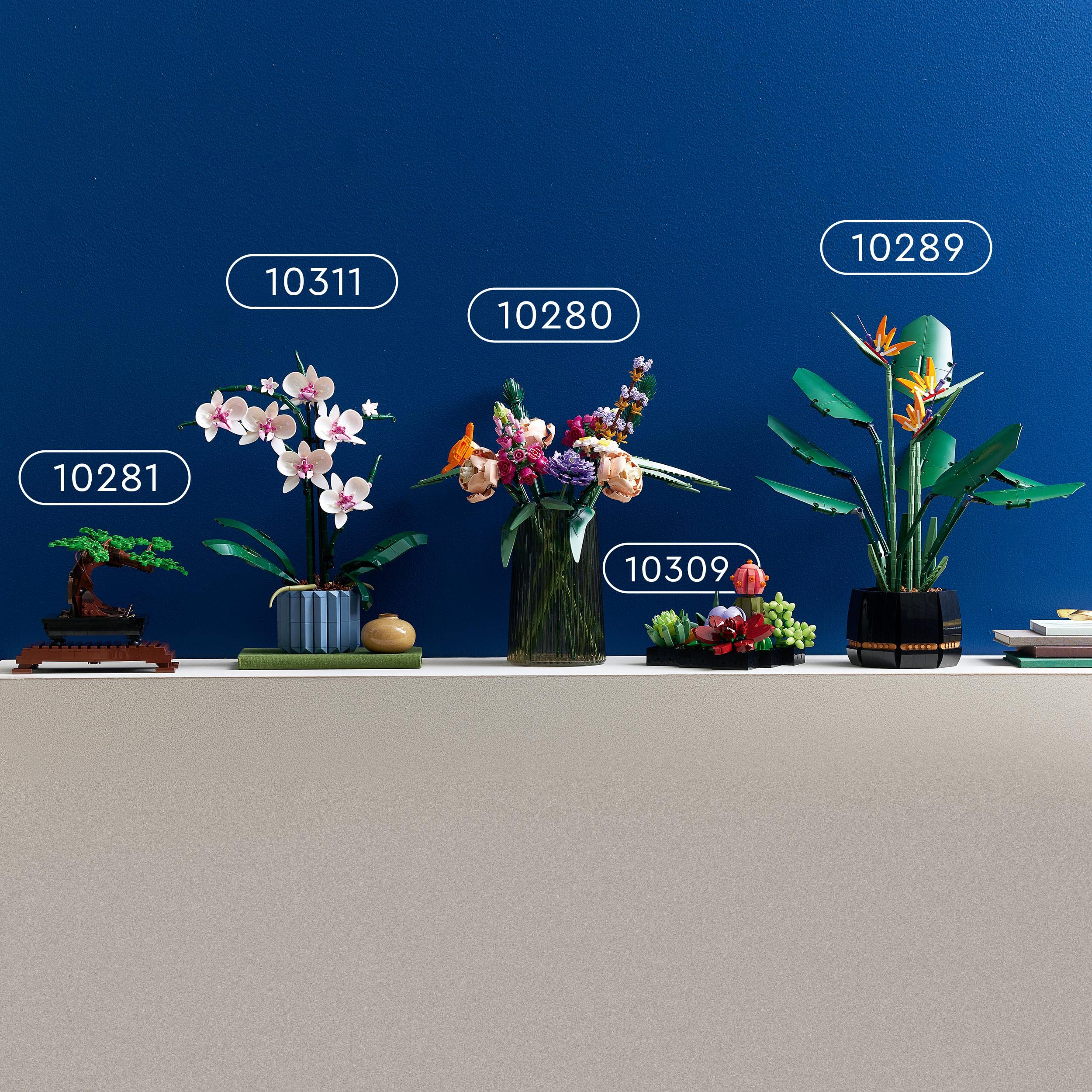 LEGO Botanicals Sukkulenten - Künstliche Blumen Set für Erwachsene - Blumenstrauß Bauset - Kreatives Hobby und Home Deko - Geschenkidee für Frauen & Männer - Botanik Kollektion (9 Pflanzen) 10309 - Image 6