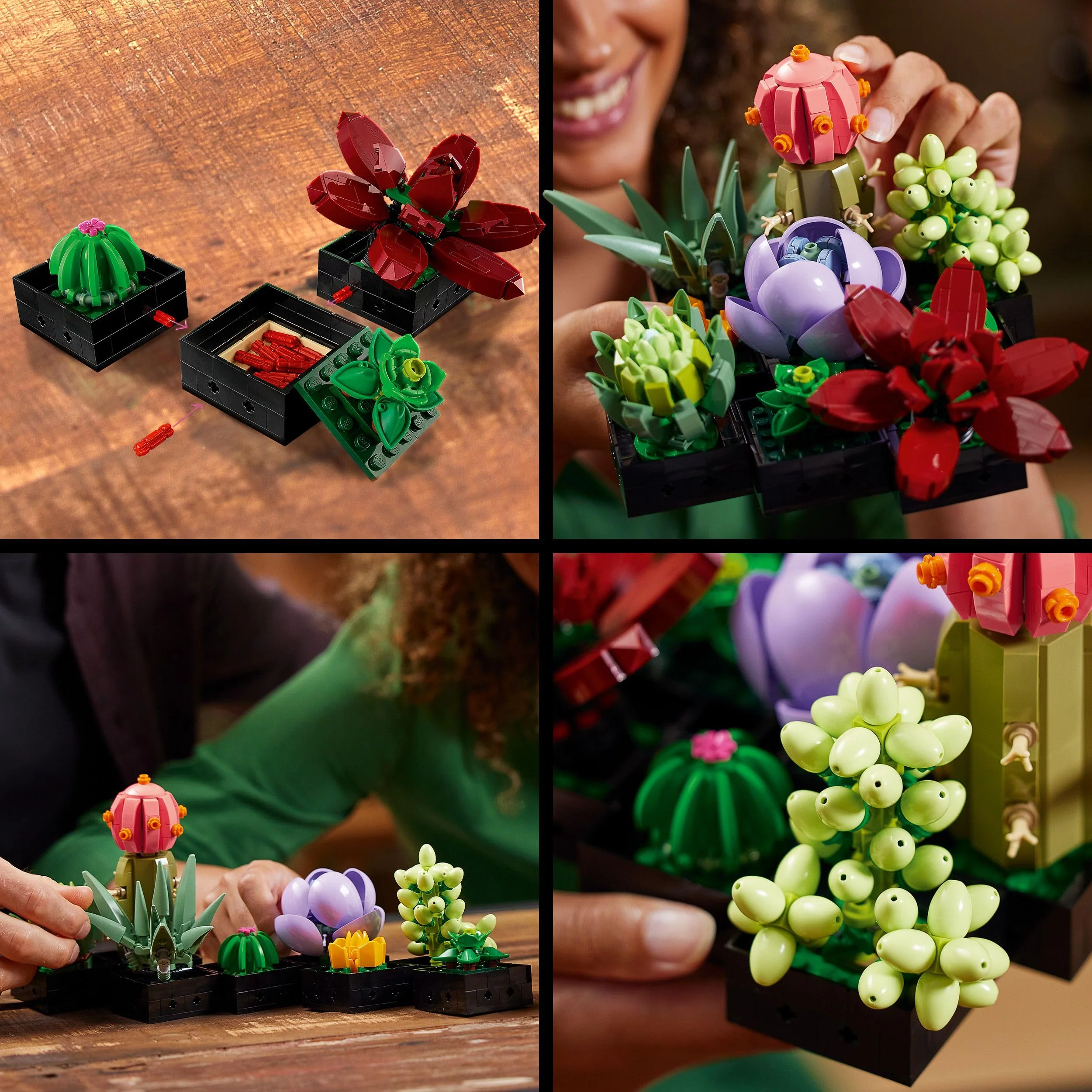 LEGO Botanicals Sukkulenten - Künstliche Blumen Set für Erwachsene - Blumenstrauß Bauset - Kreatives Hobby und Home Deko - Geschenkidee für Frauen & Männer - Botanik Kollektion (9 Pflanzen) 10309 - Image 8
