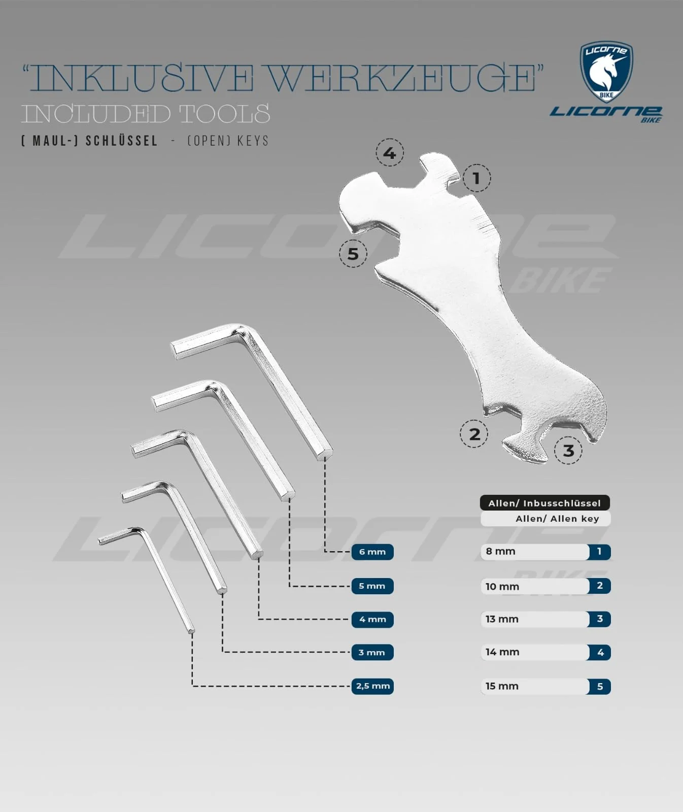 Licorne Bike Guide Premium 29 Zoll Mountainbike - Federgabel MTB mit Scheibenbremsen - Deutsche Markenqualität - Für Jugendliche & Erwachsene (Schwarz/Blau) - Image 2