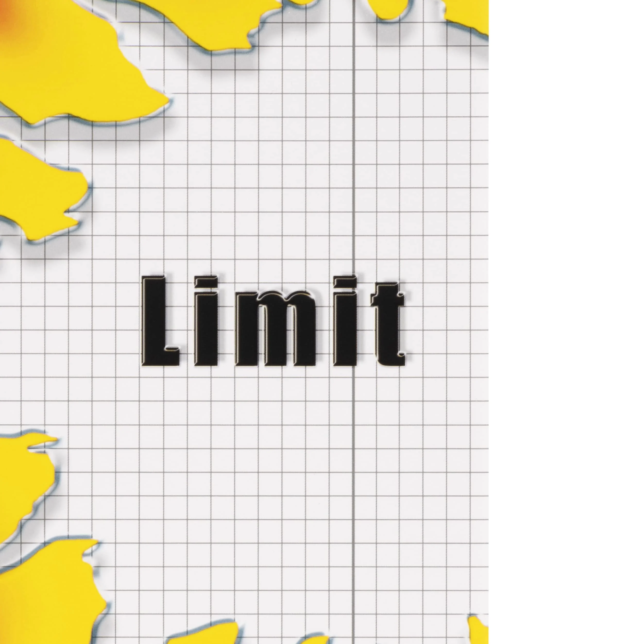 Limit Schulheft A4, 16 Blatt, Lineatur 28, kariert mit Rand, rot, 10 Stück - Image 2