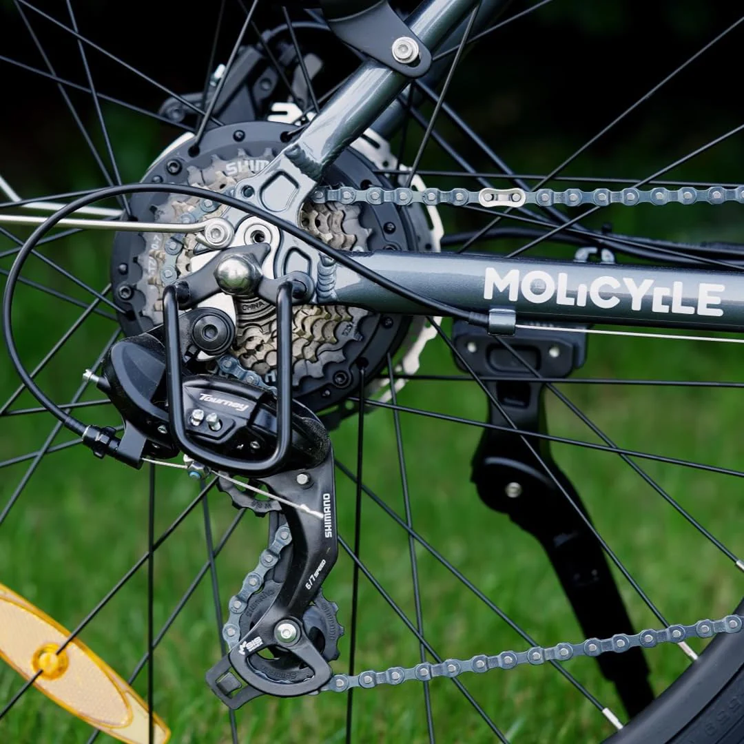 Molicycle R1 E Bike Damen 26 Zoll Elektrofahrräder Trekking/City Fahrrad mit 36V 14.5Ah Wechselakku, Reichweite bis zu 110Km, 250W Motor, EU-konformes Ebike mit App - Image 3