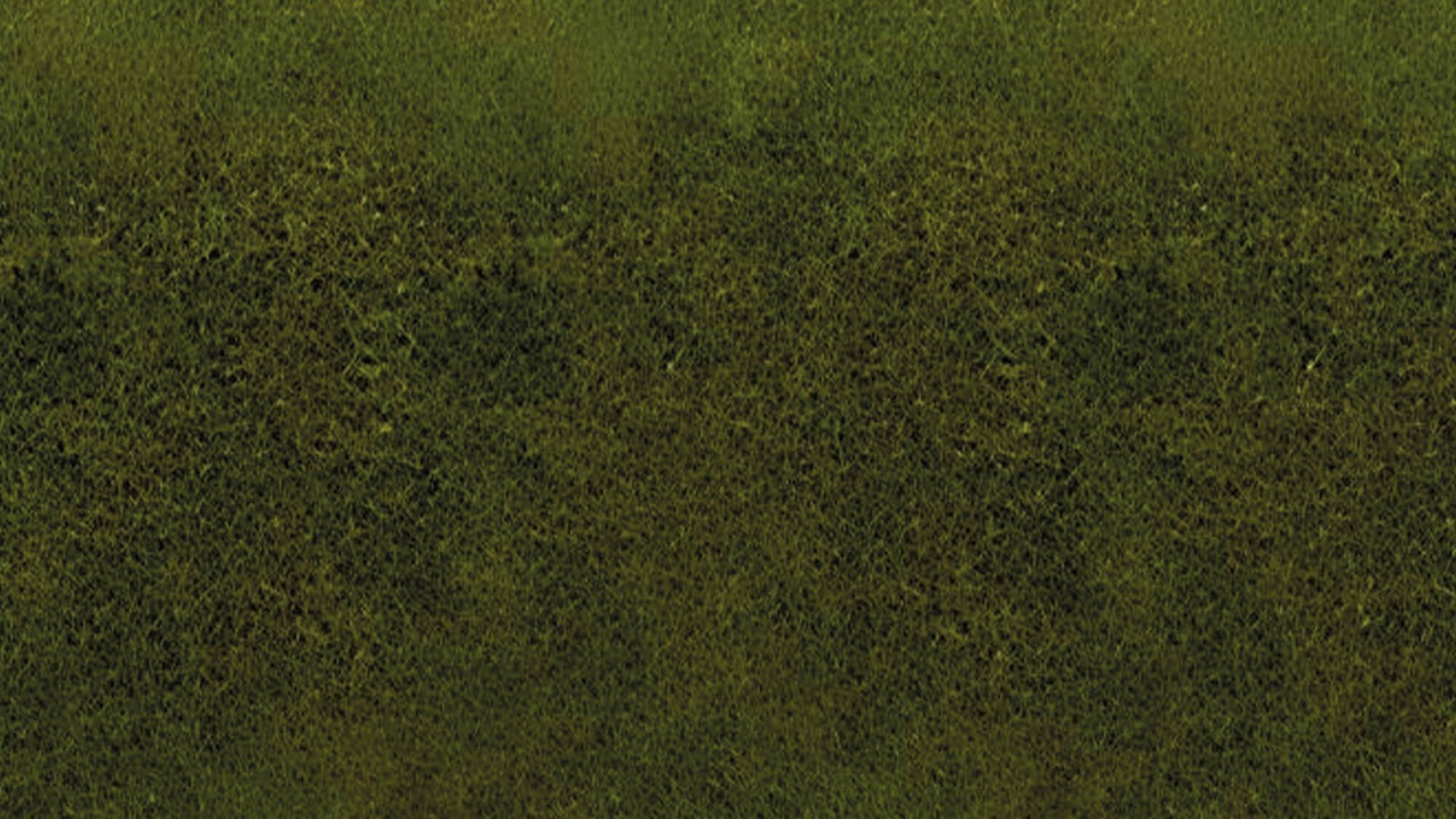 NOCH® Grasmatte „Wiese“, mit Modellbau Gras, 120 x 60 cm für die Spurweiten H0, N, Z ideal für ländliche Szenen und DIY-Projekte, grün - Image 4