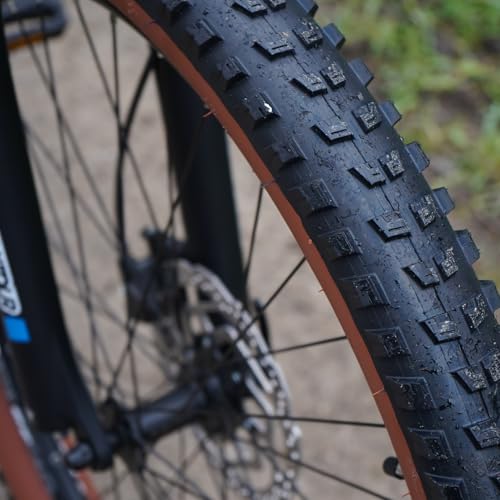 Prophete DICE 1.0 E-MTB 27,5" – Enovation Hinterradmotor 250W, 40Nm, Shimano Altus 8-Gang, 100 km Reichweite, Suntour XCT Federgabel, Hydraulische Scheibenbremse, Bronze Grün - Image 10