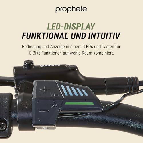 Prophete DICE 1.0 E-MTB 27,5" – Enovation Hinterradmotor 250W, 40Nm, Shimano Altus 8-Gang, 100 km Reichweite, Suntour XCT Federgabel, Hydraulische Scheibenbremse, Bronze Grün - Image 11