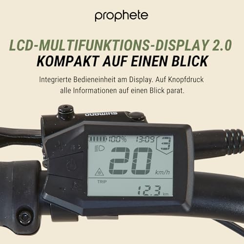 Prophete DICE 2.0 E-MTB 29" – Enovation Hinterradmotor 48V, 250W, 46Nm, 9-Gang Kettenschaltung, 130 km Reichweite, Suntour XCT Federgabel, Hydraulische Scheibenbremsen, Sandbeige - Image 8